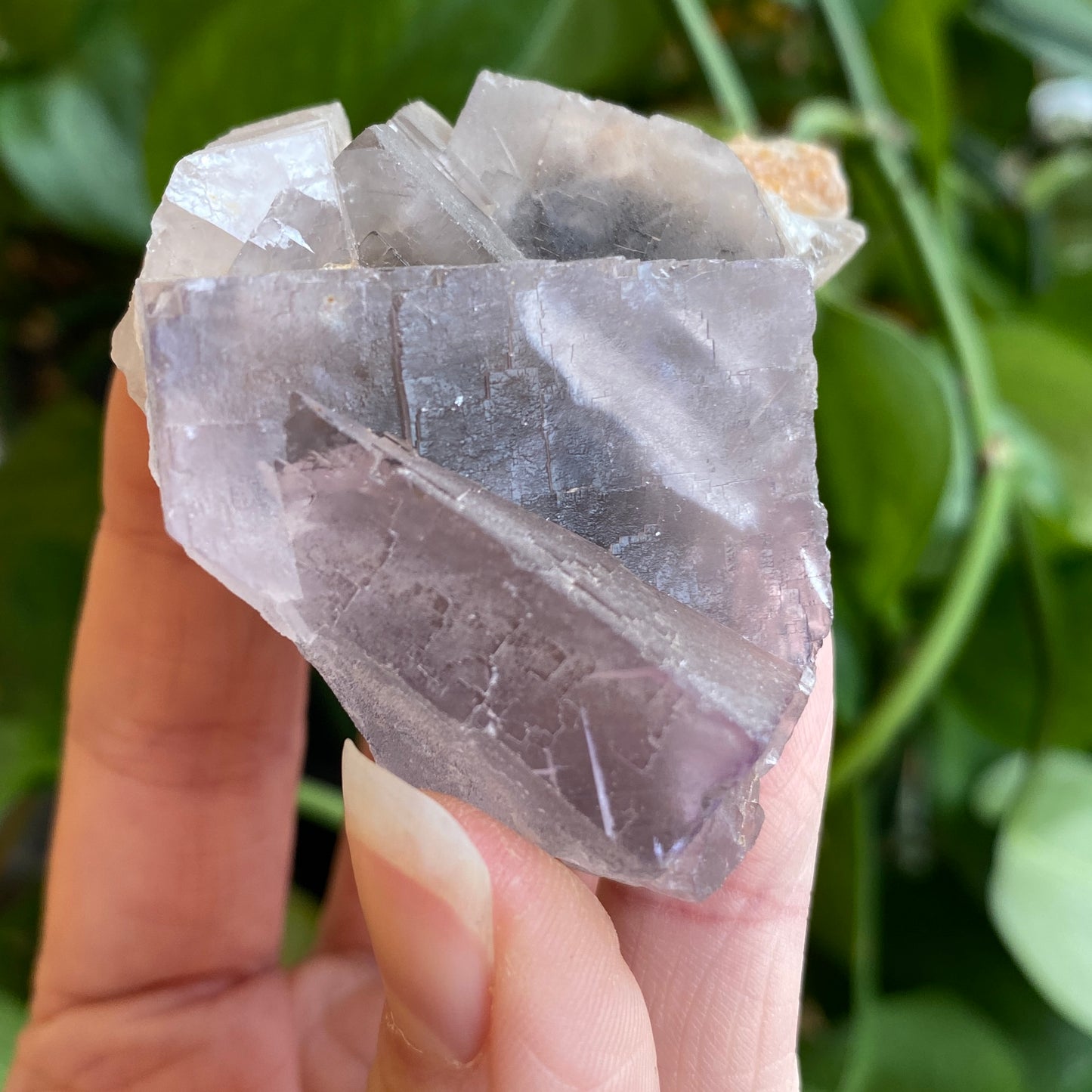 Fluorescent Fluorite Specimen, Deer Trail Mine Utah