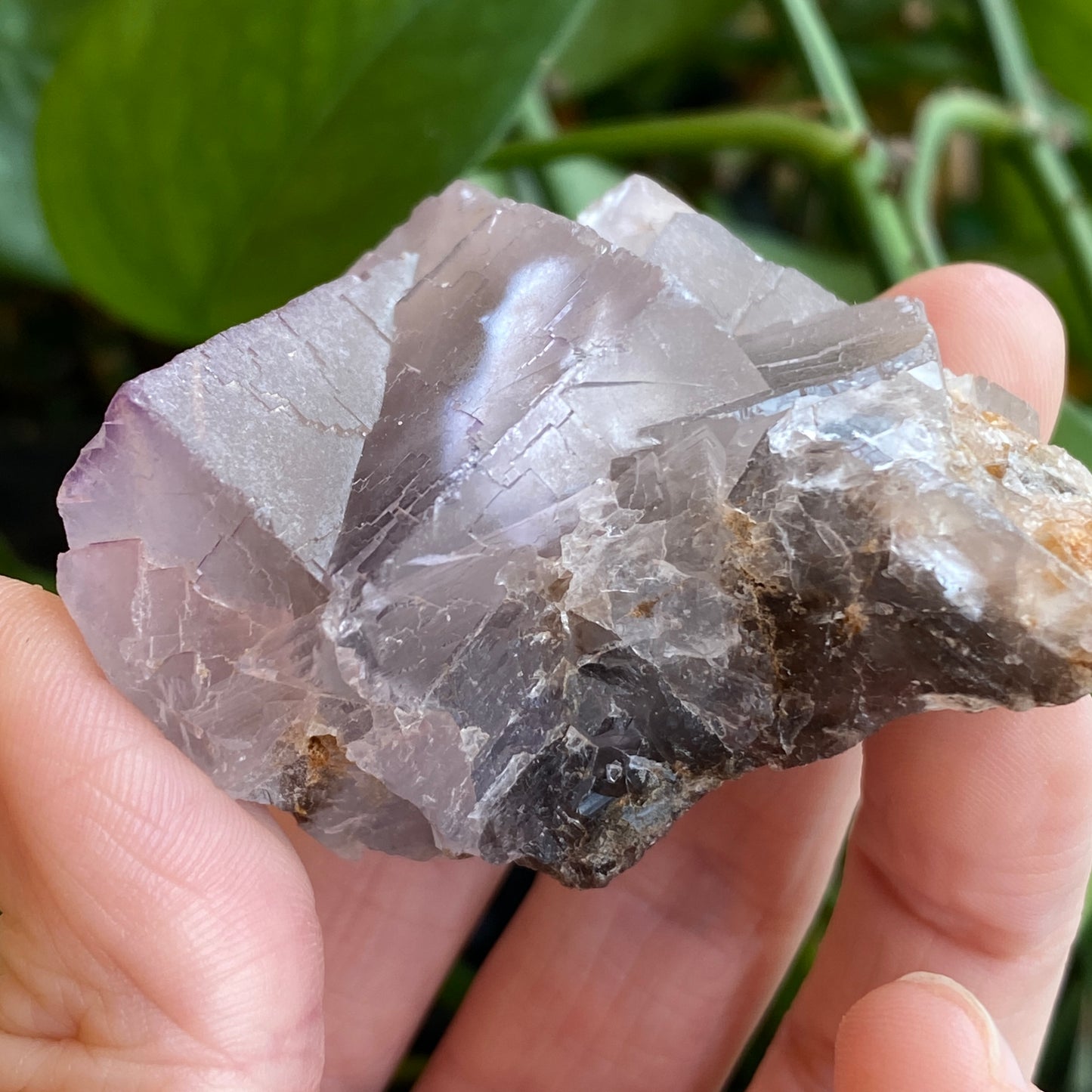 Fluorescent Fluorite Specimen, Deer Trail Mine Utah