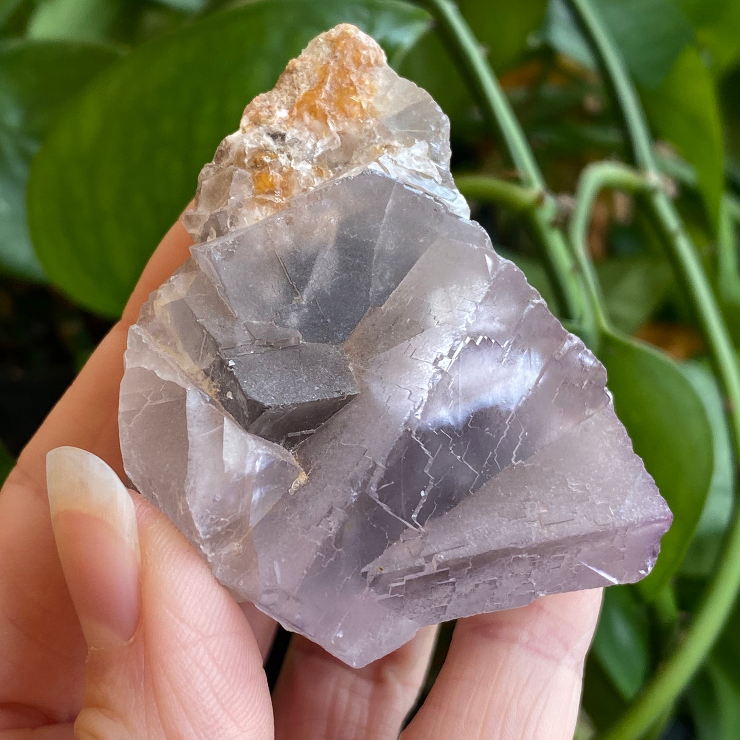 Fluorescent Fluorite Specimen, Deer Trail Mine Utah