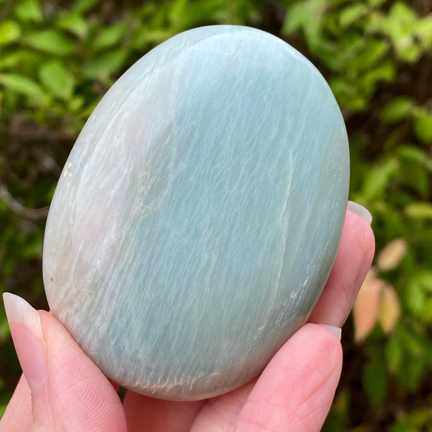 Garnierite Palm Stone