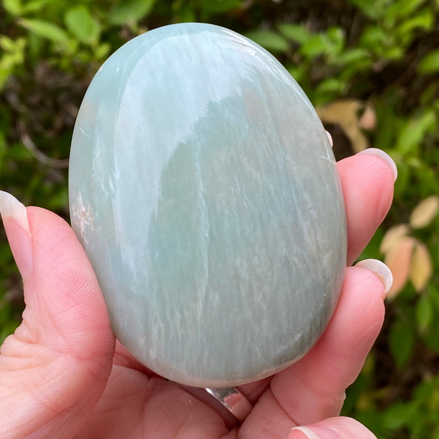 Garnierite Palm Stone