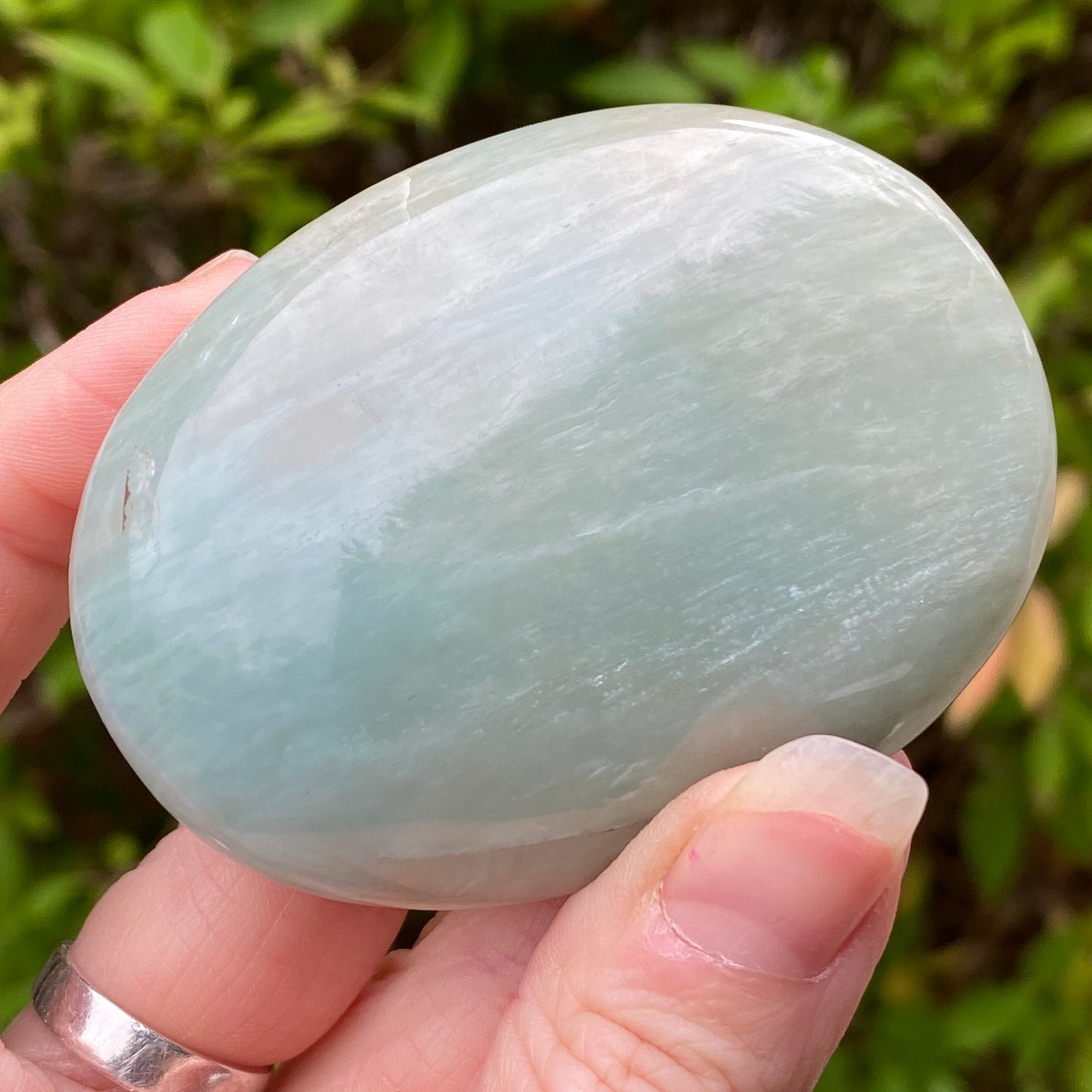 Garnierite Palm Stone