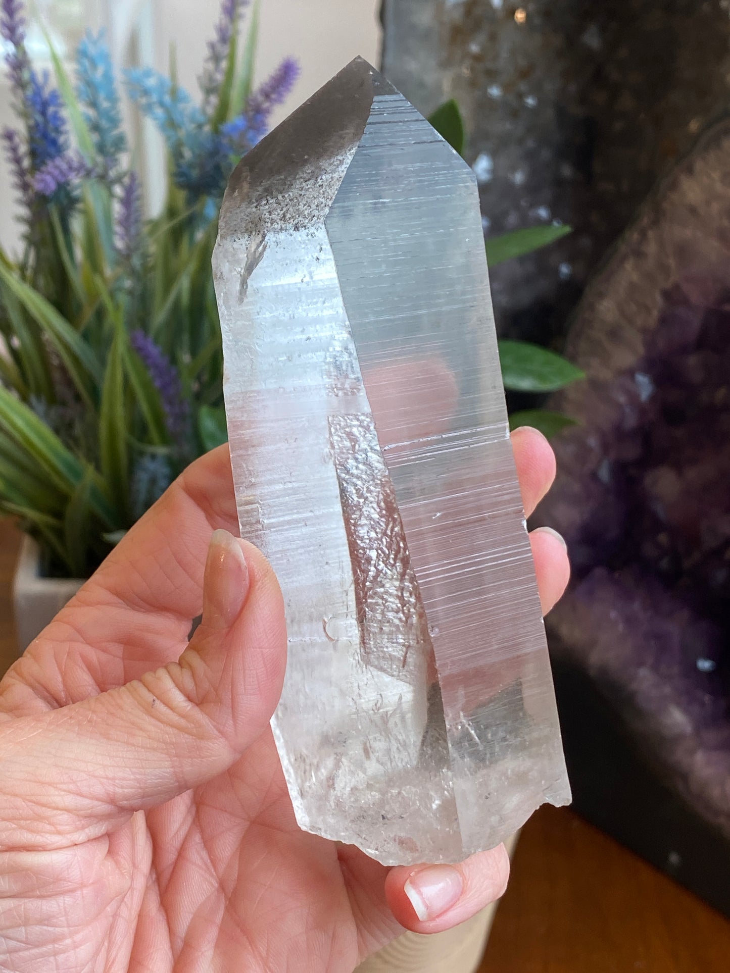 Graphite Phantom Lemurian
