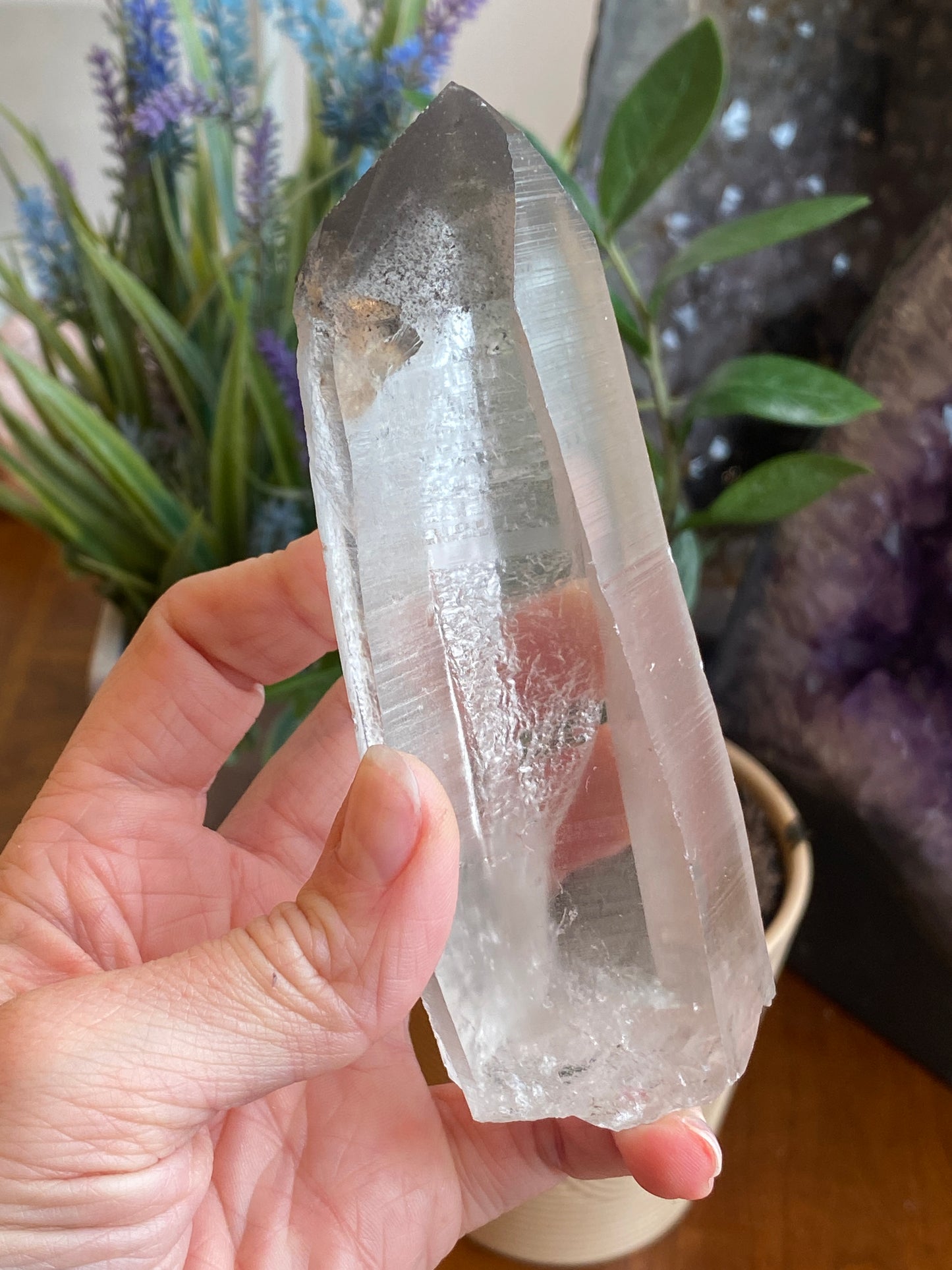 Graphite Phantom Lemurian