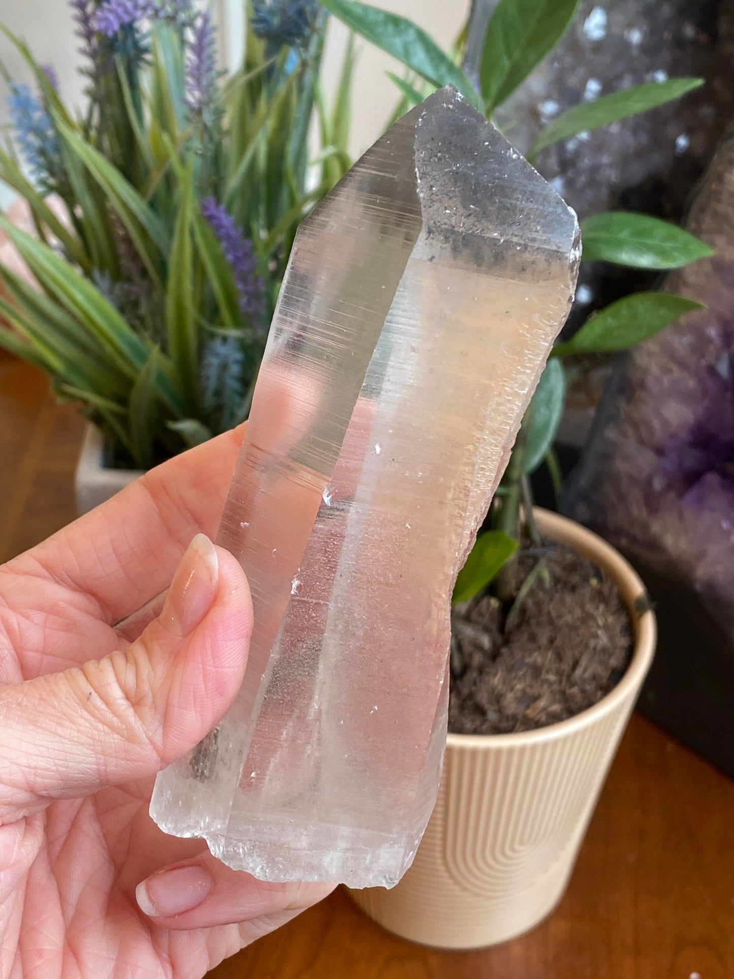Graphite Phantom Lemurian