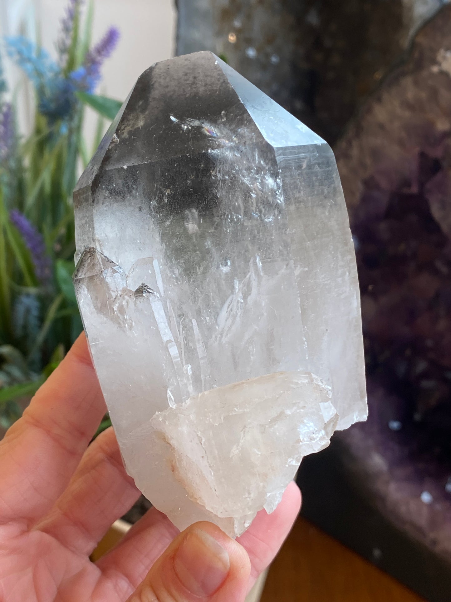 Graphite Phantom Lemurian
