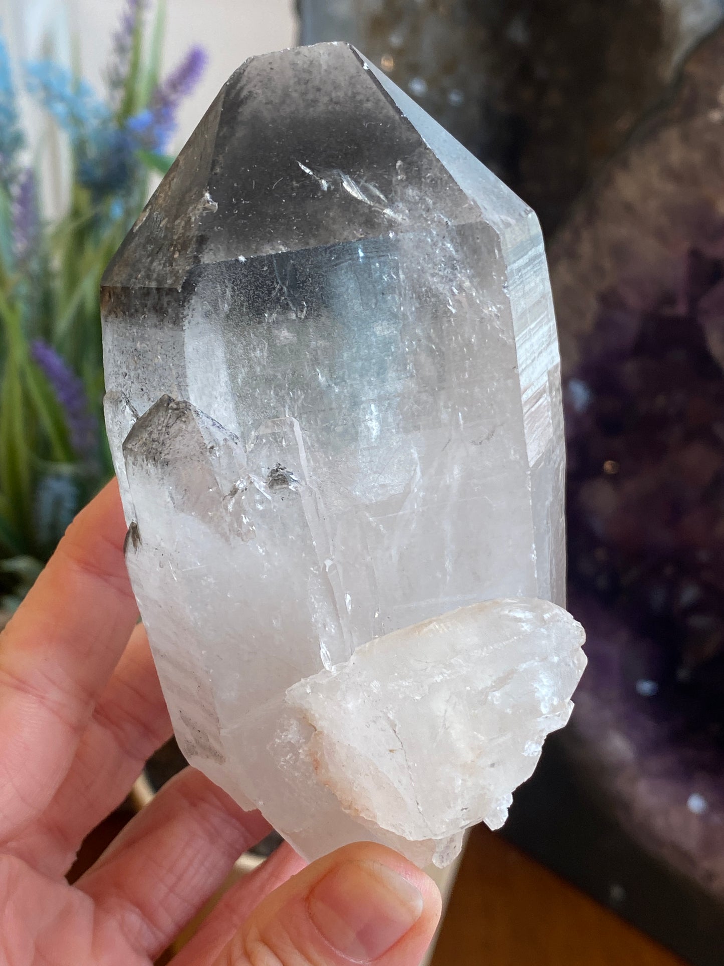 Graphite Phantom Lemurian