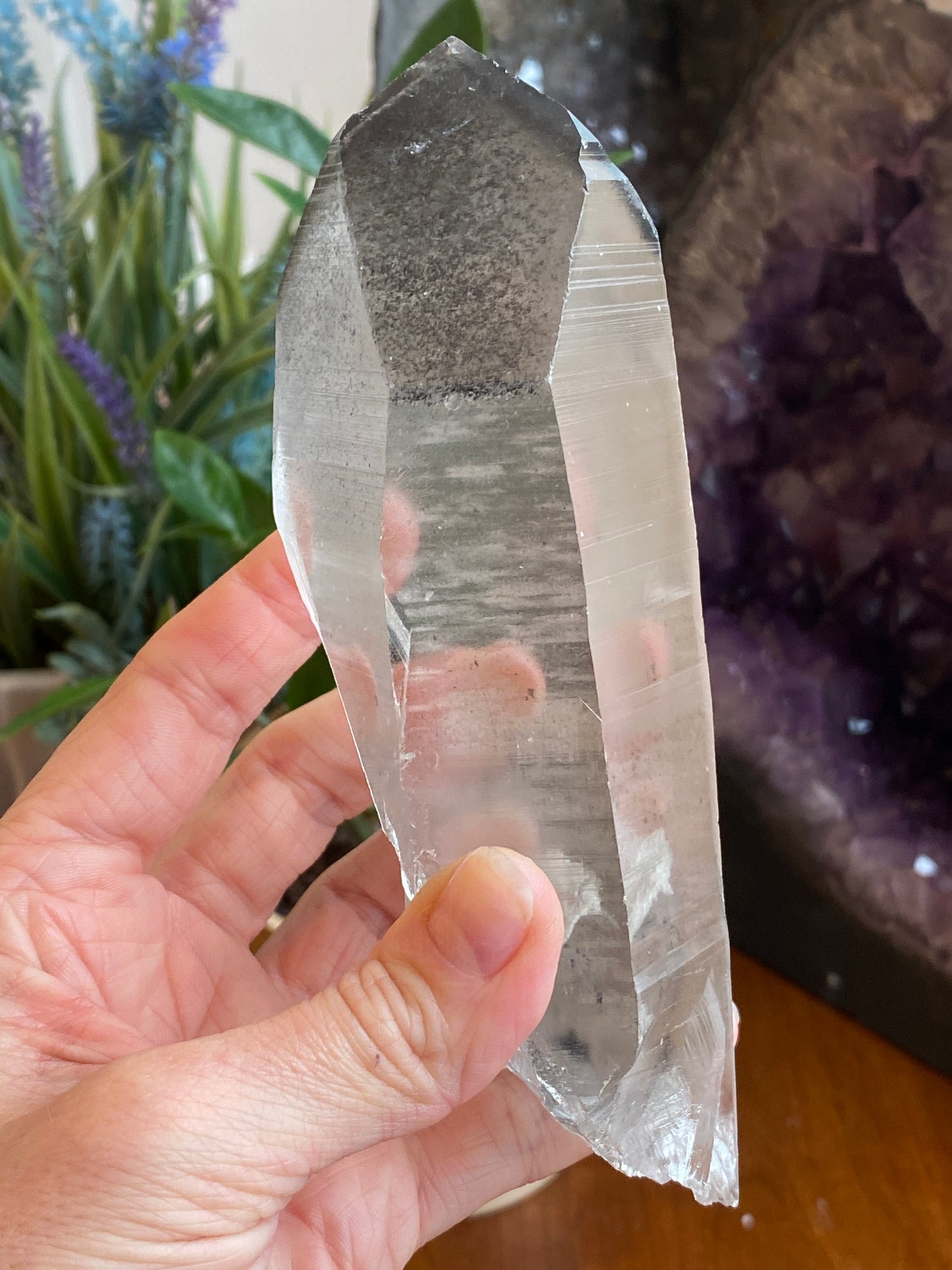Graphite Phantom Lemurian