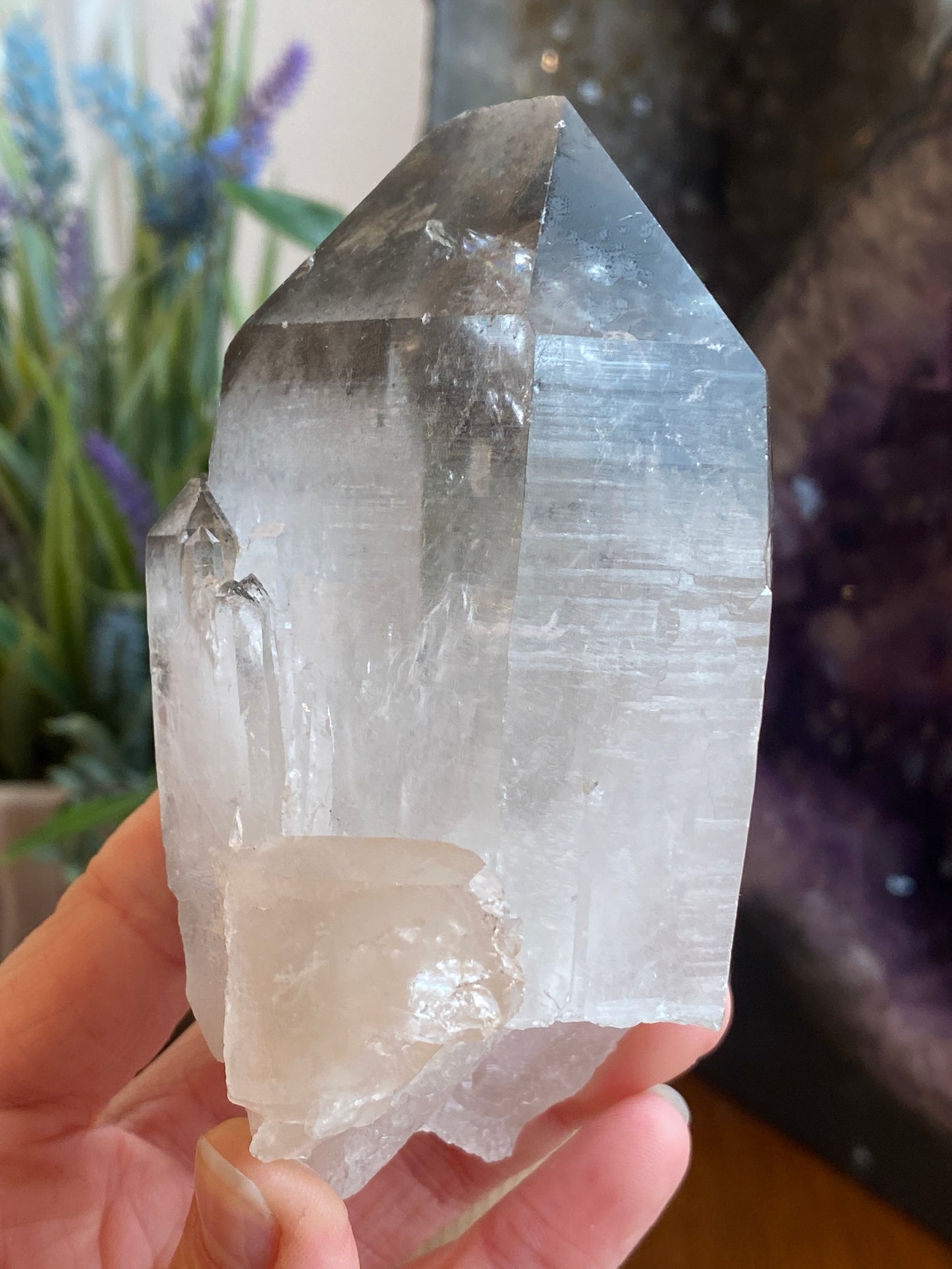 Graphite Phantom Lemurian