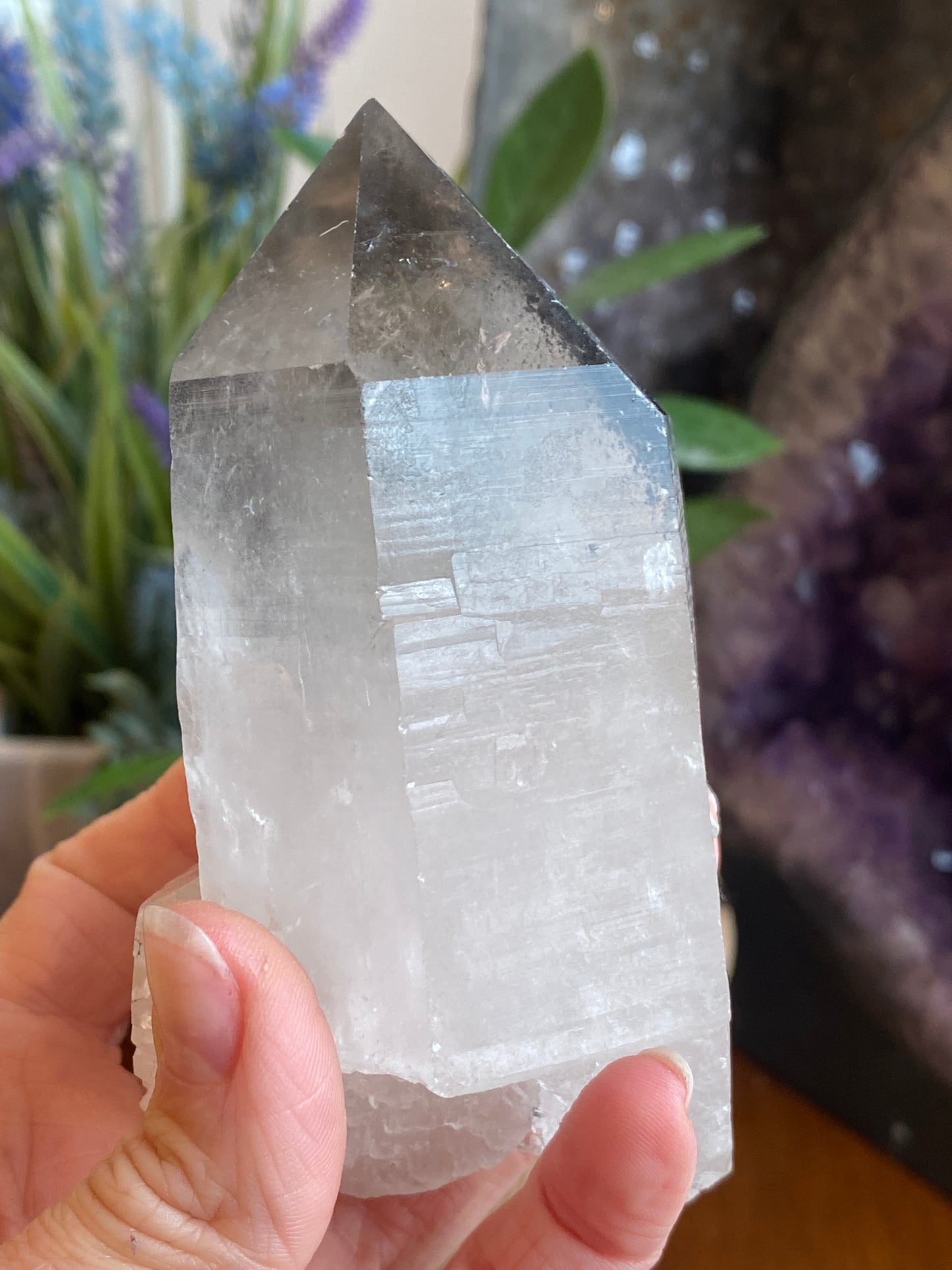 Graphite Phantom Lemurian