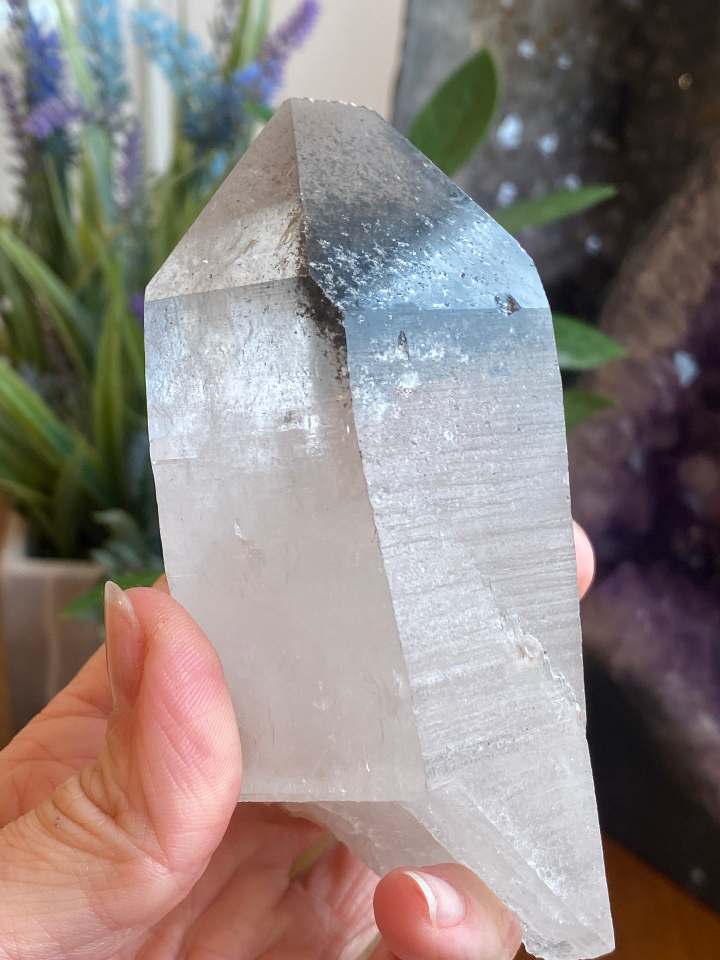 Graphite Phantom Lemurian