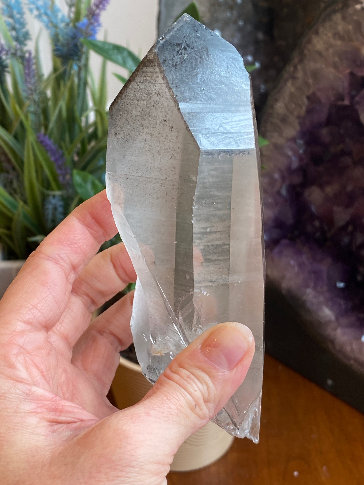 Graphite Phantom Lemurian