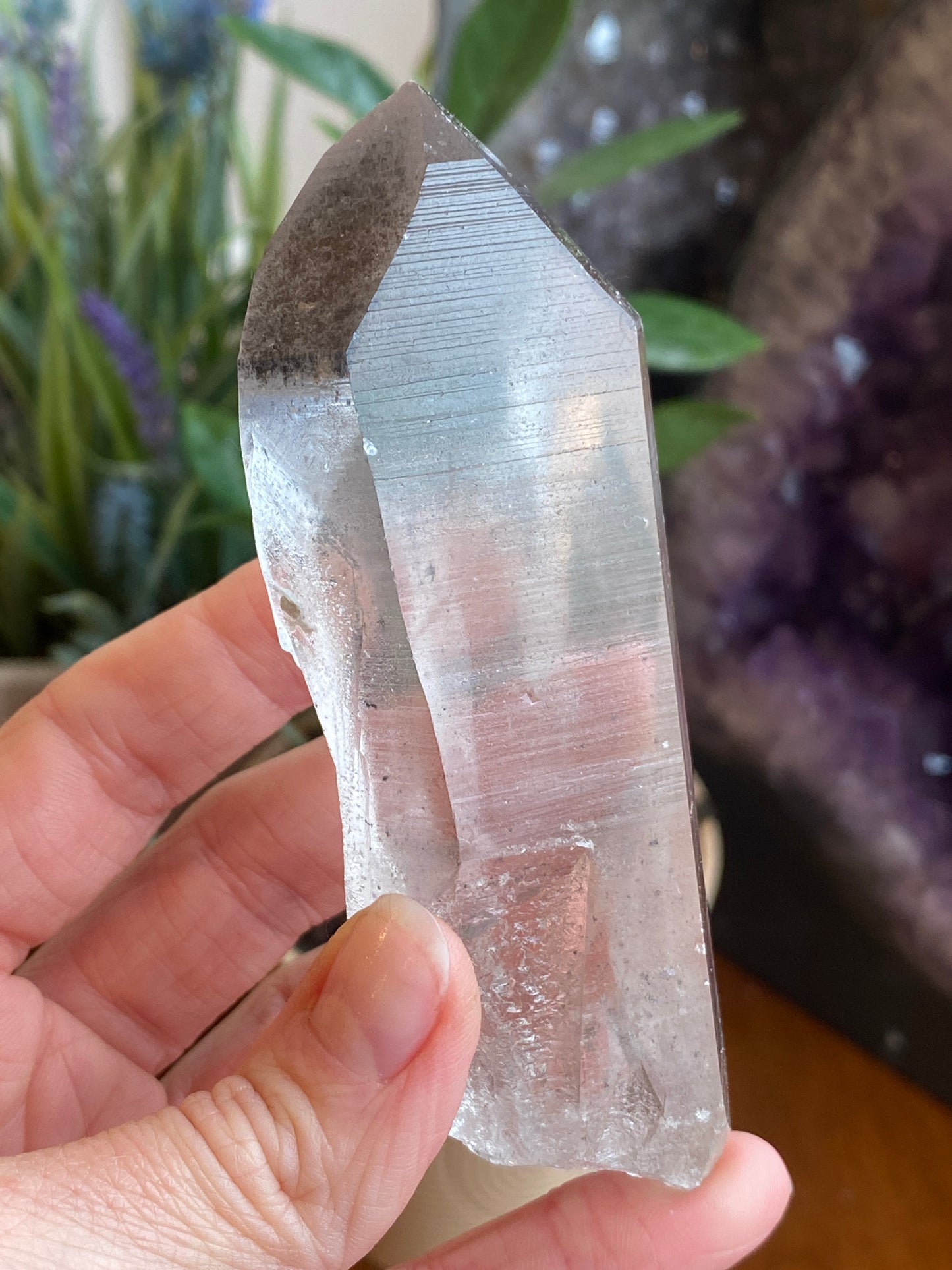 Graphite Phantom Lemurian