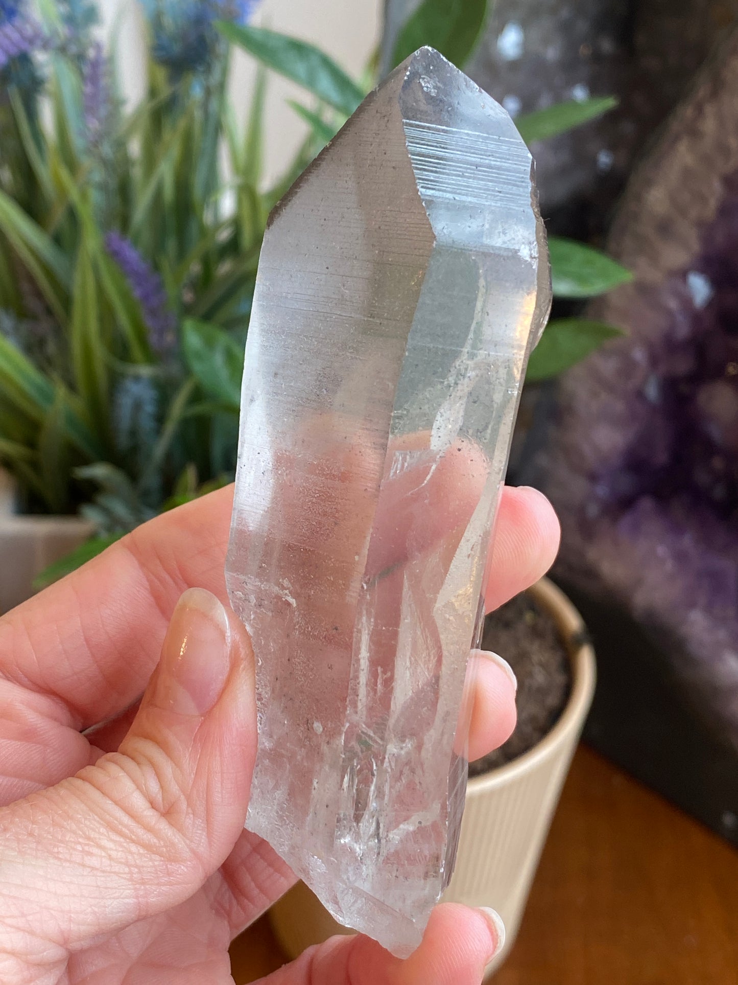 Graphite Phantom Lemurian