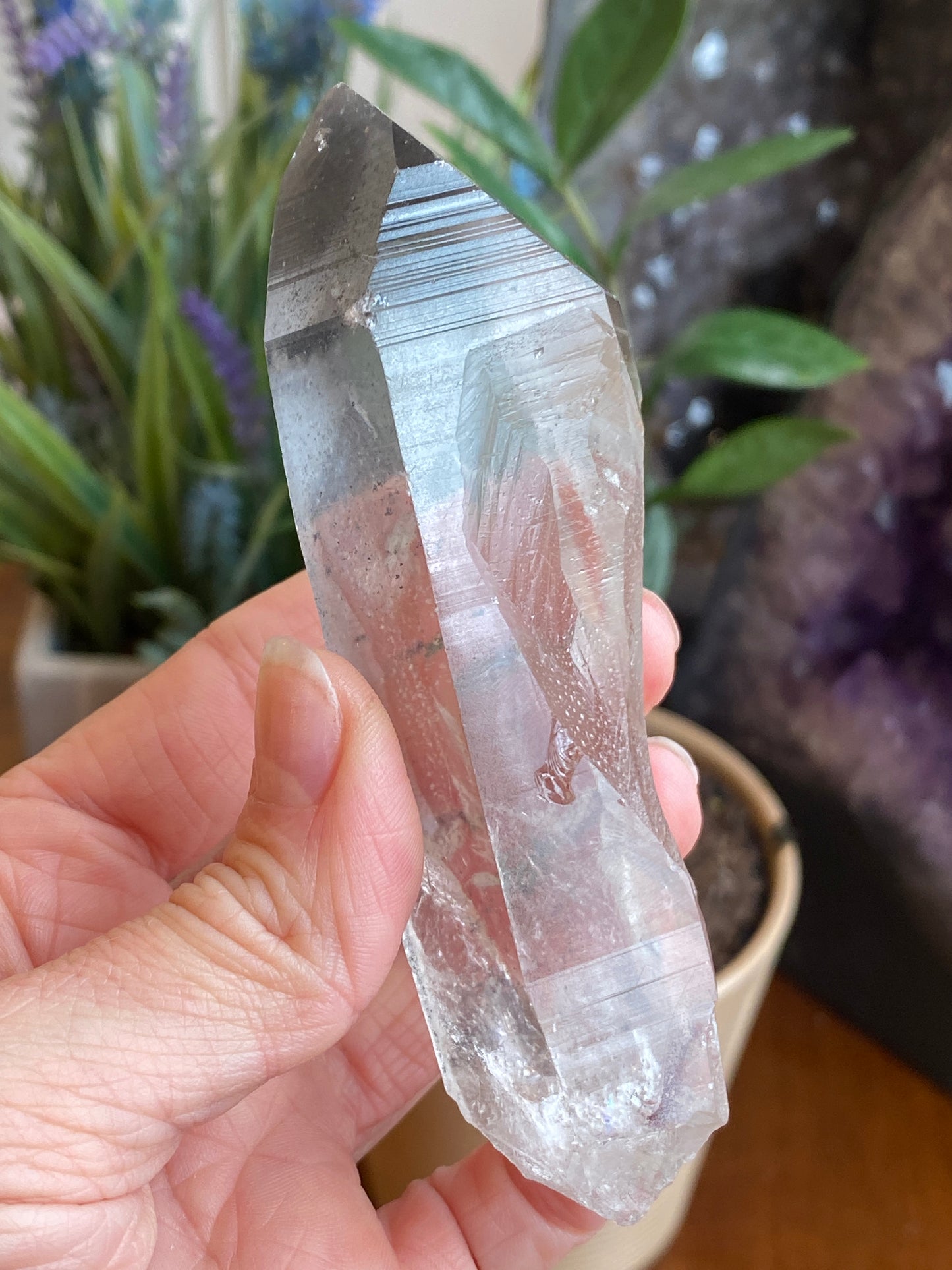 Graphite Phantom Lemurian