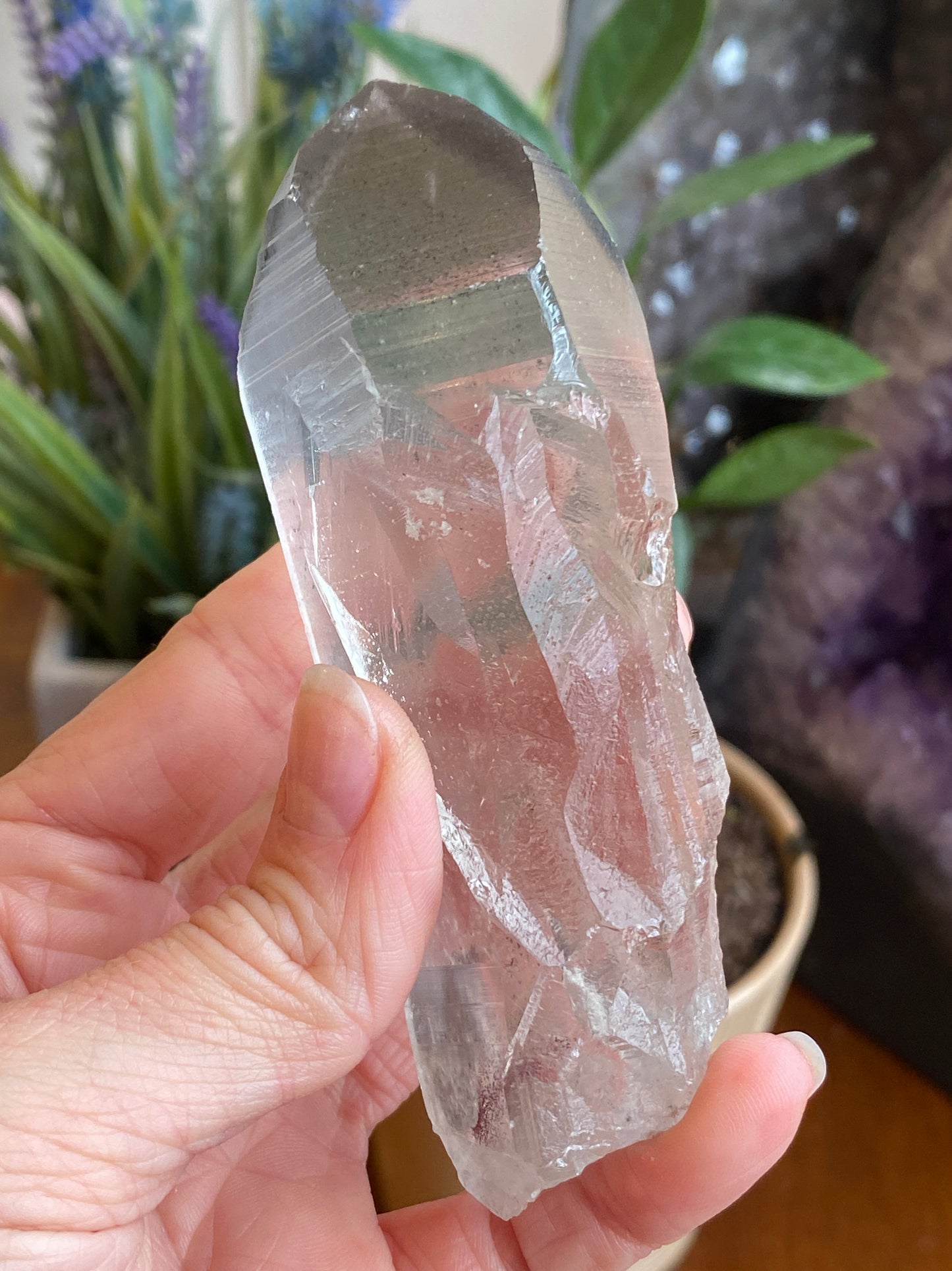 Graphite Phantom Lemurian