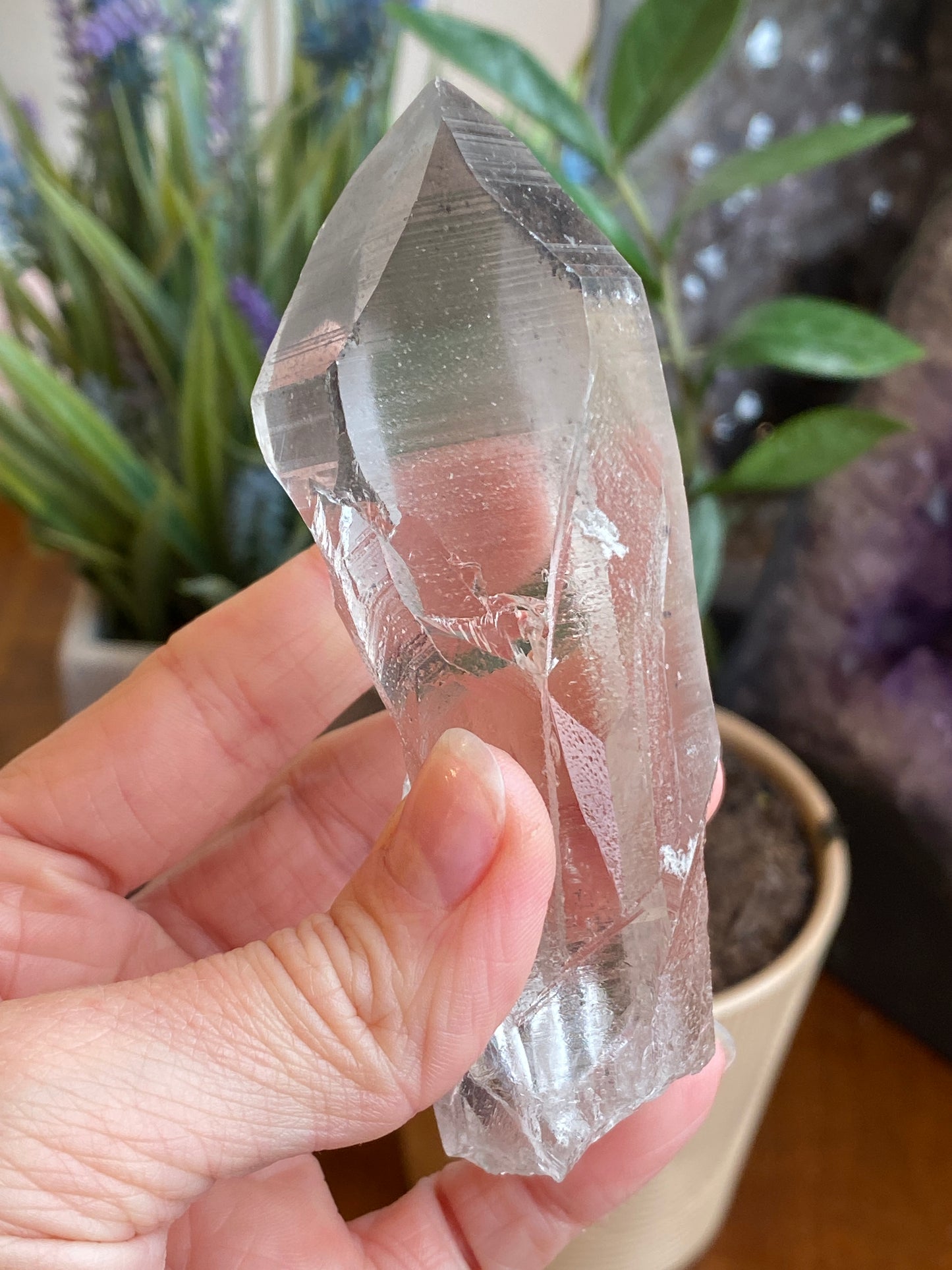 Graphite Phantom Lemurian