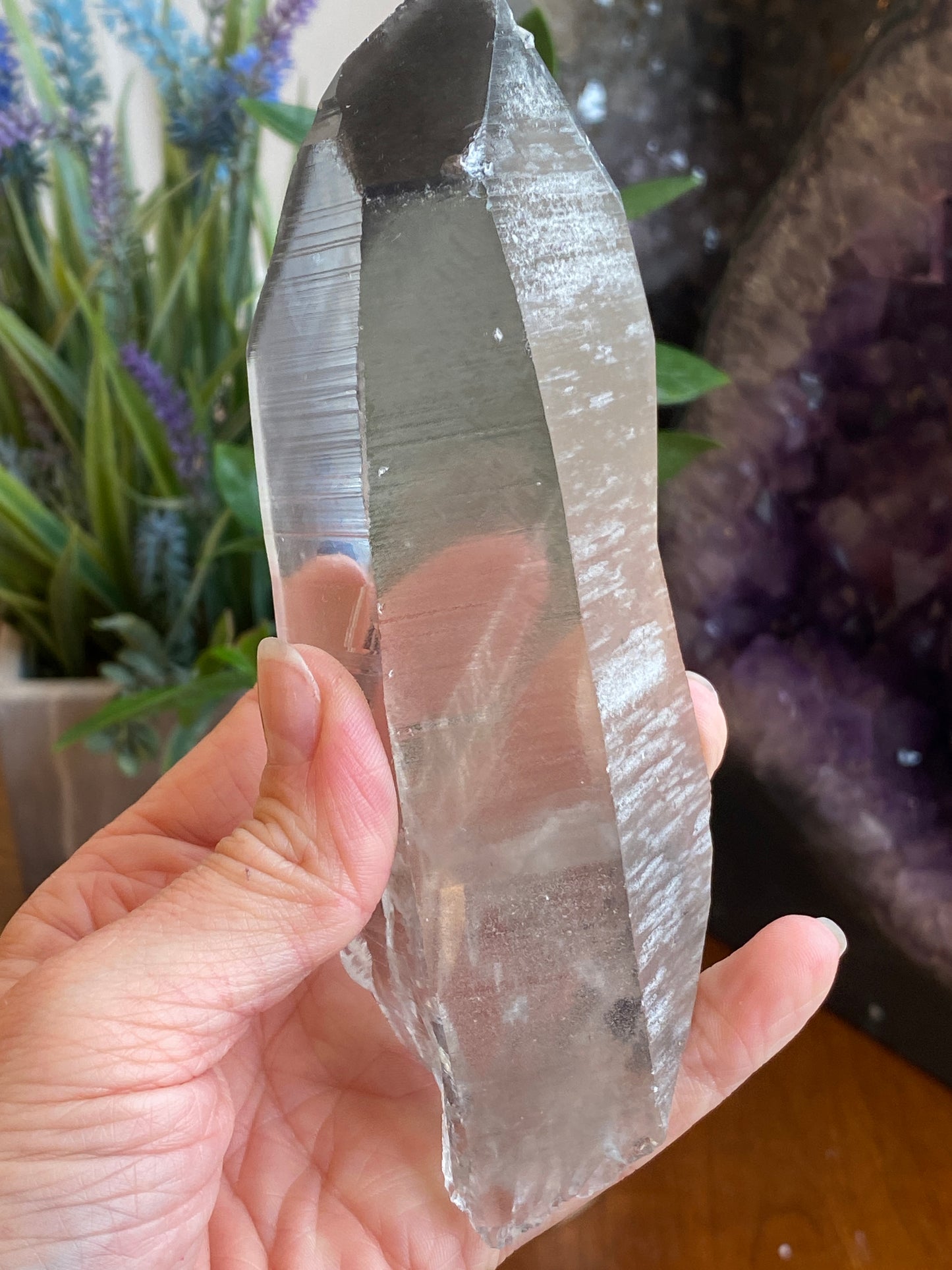 Graphite Phantom Lemurian