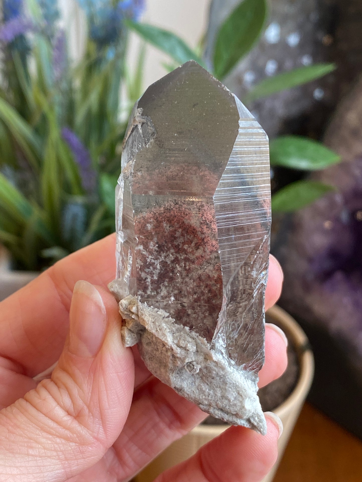 Graphite Phantom Lemurian