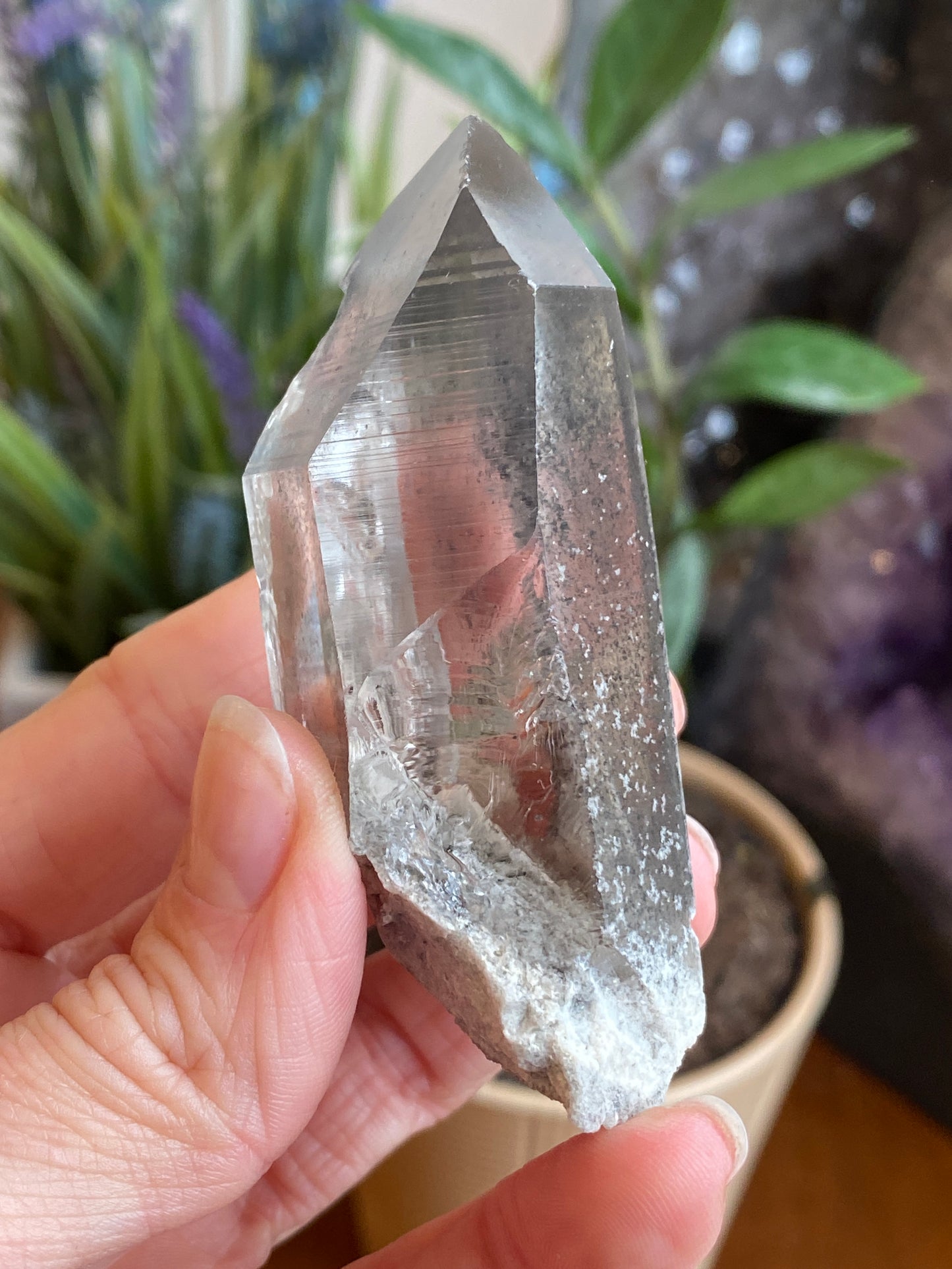 Graphite Phantom Lemurian