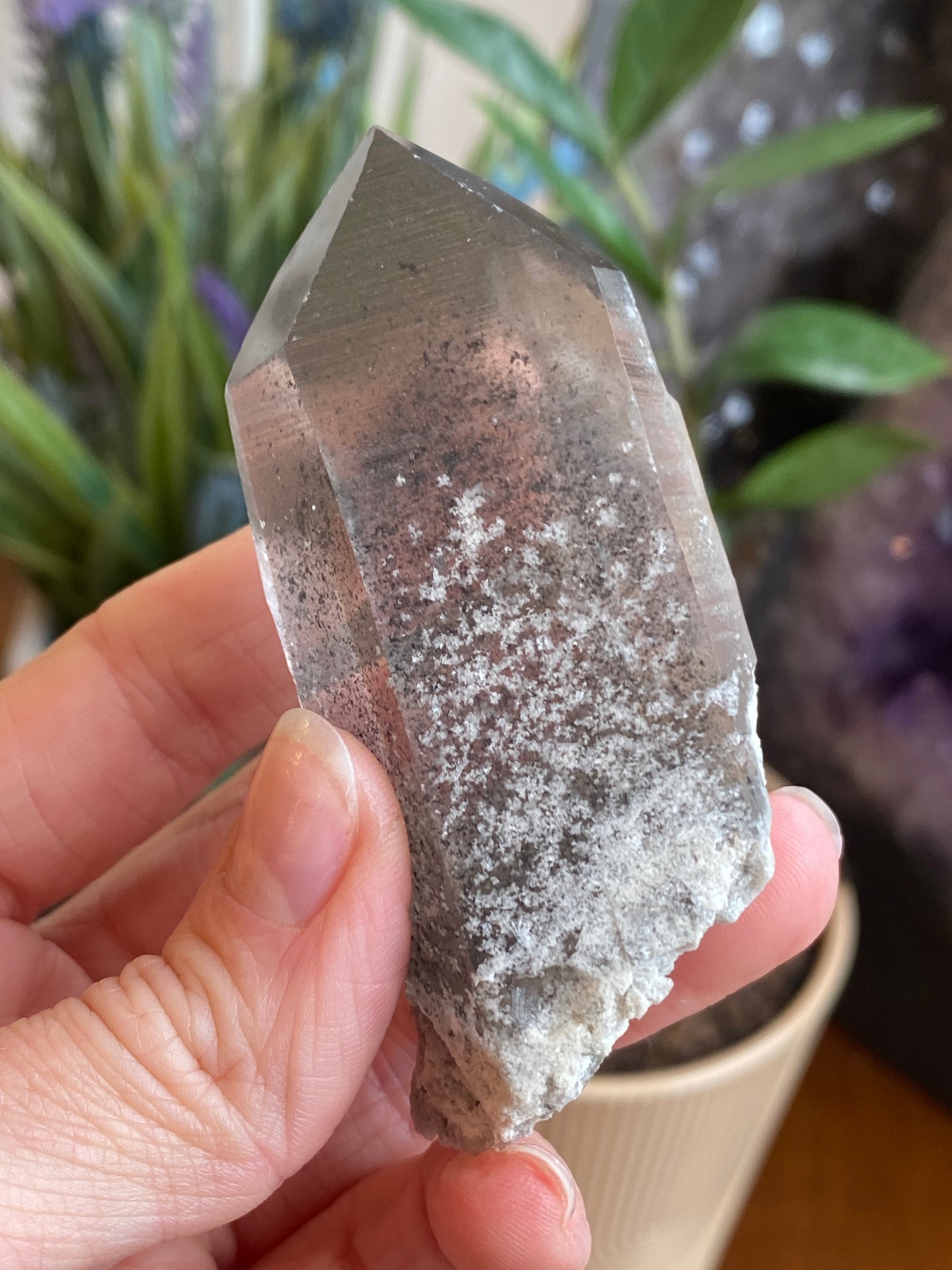 Graphite Phantom Lemurian