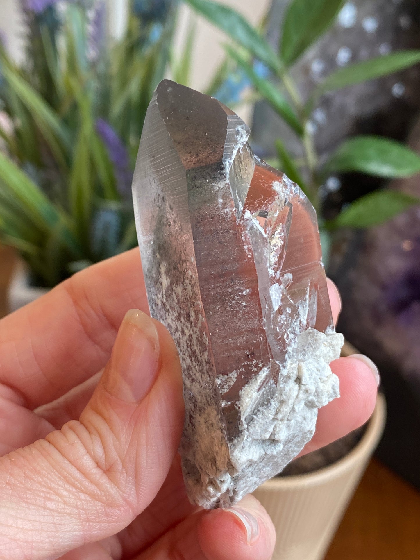 Graphite Phantom Lemurian
