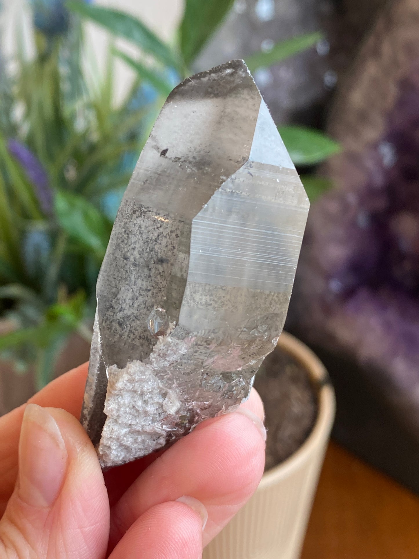 Graphite Phantom Lemurian