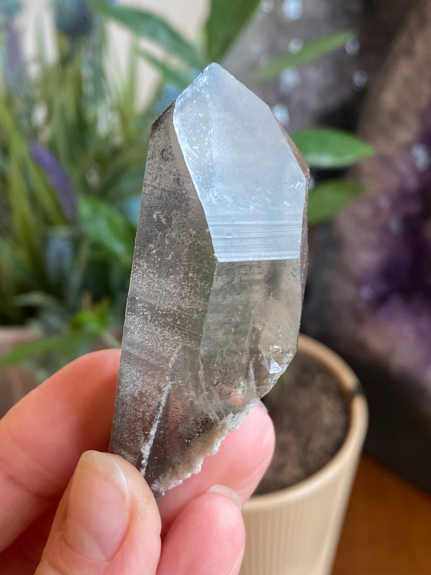 Graphite Phantom Lemurian