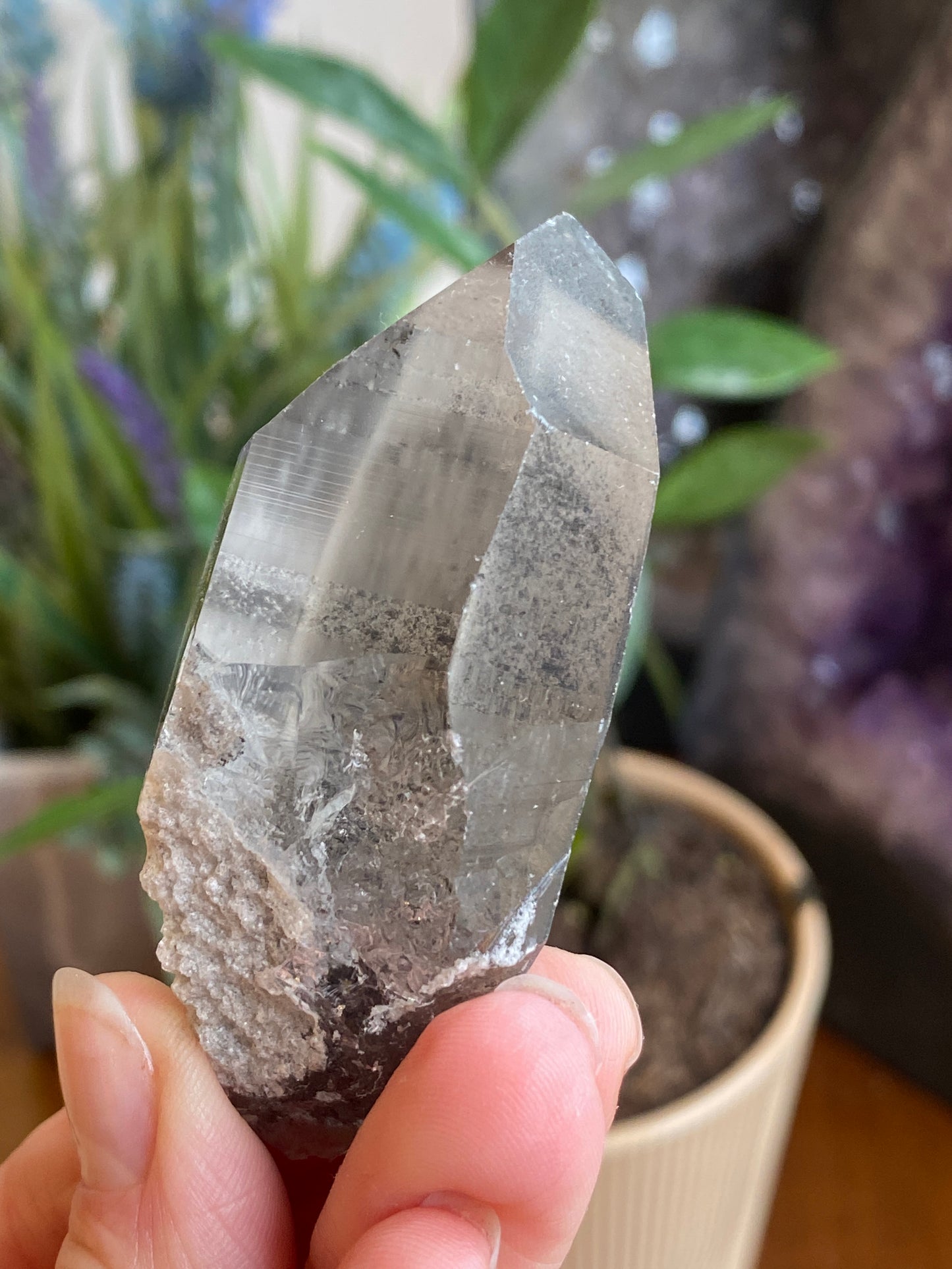 Graphite Phantom Lemurian