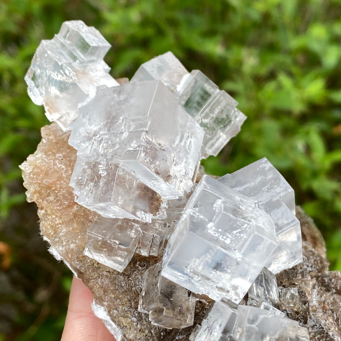 Clear Halite, High Grade, Phantom, Morocco