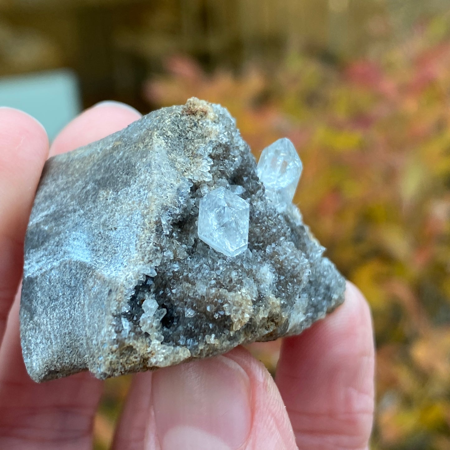 Herkimer Diamond in Matrix