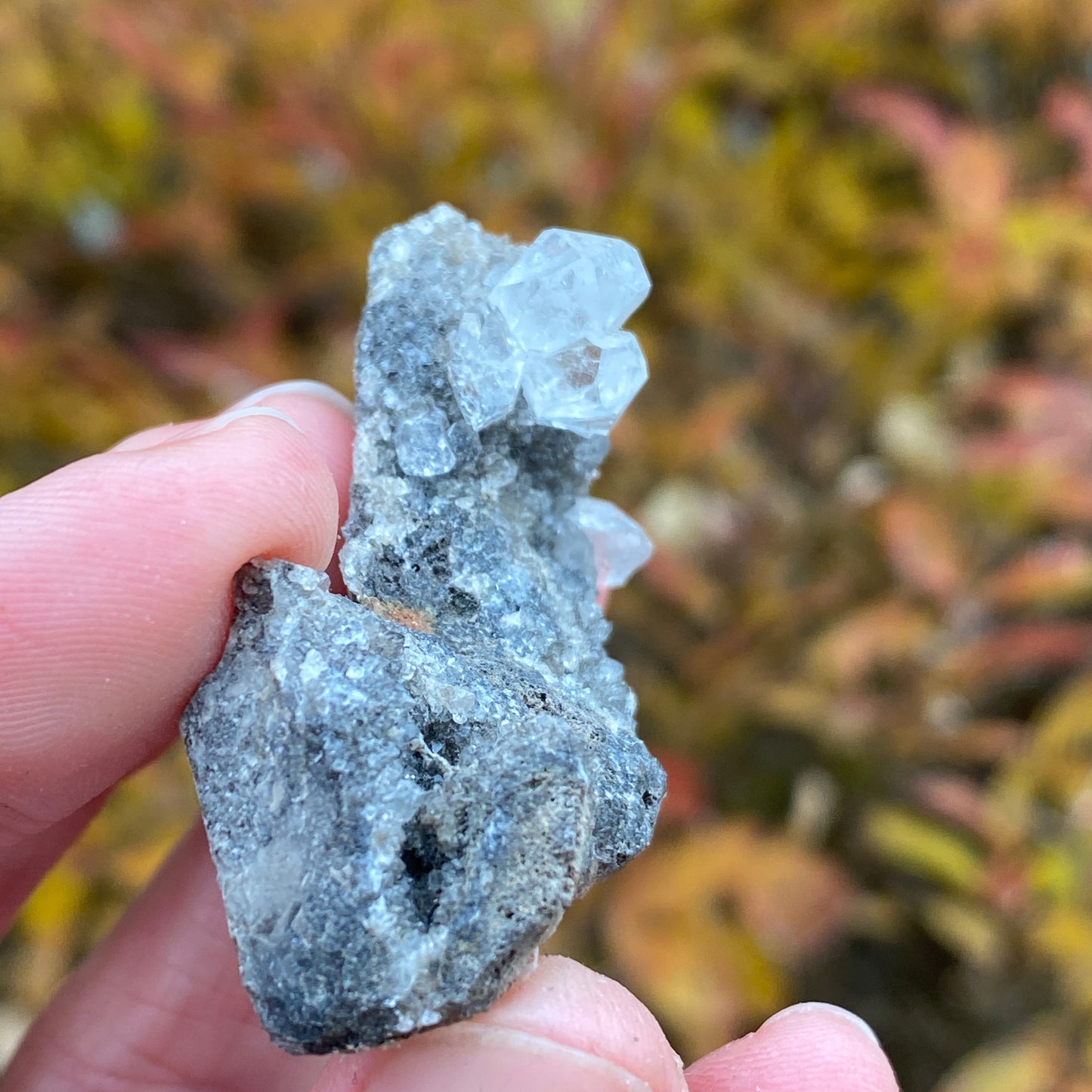 Herkimer Diamond in Matrix