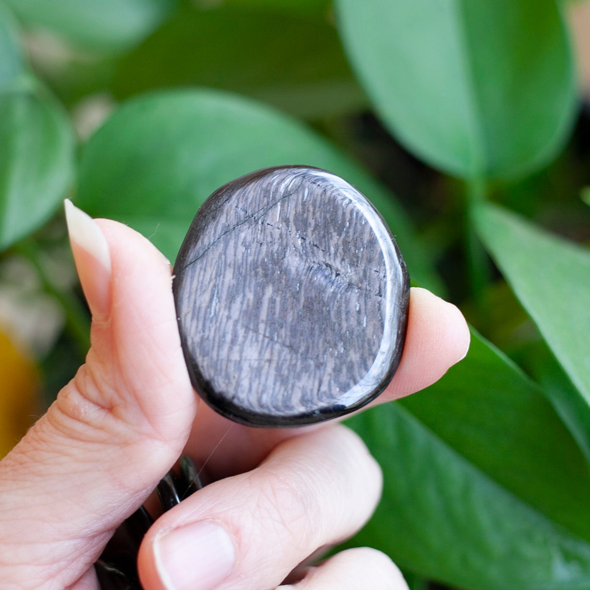 Hypersthene Worry Stone