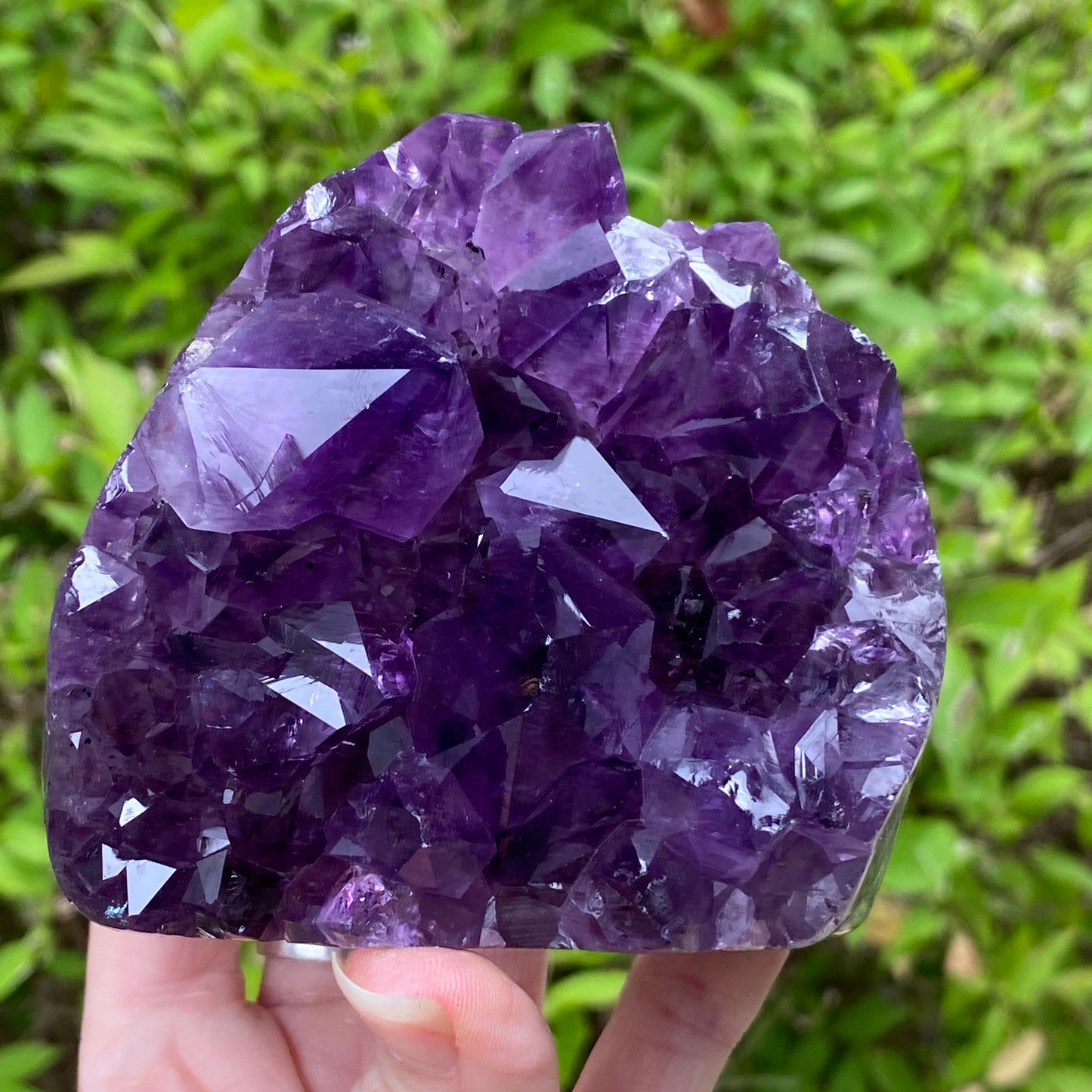 High Grade Amethyst Cluster