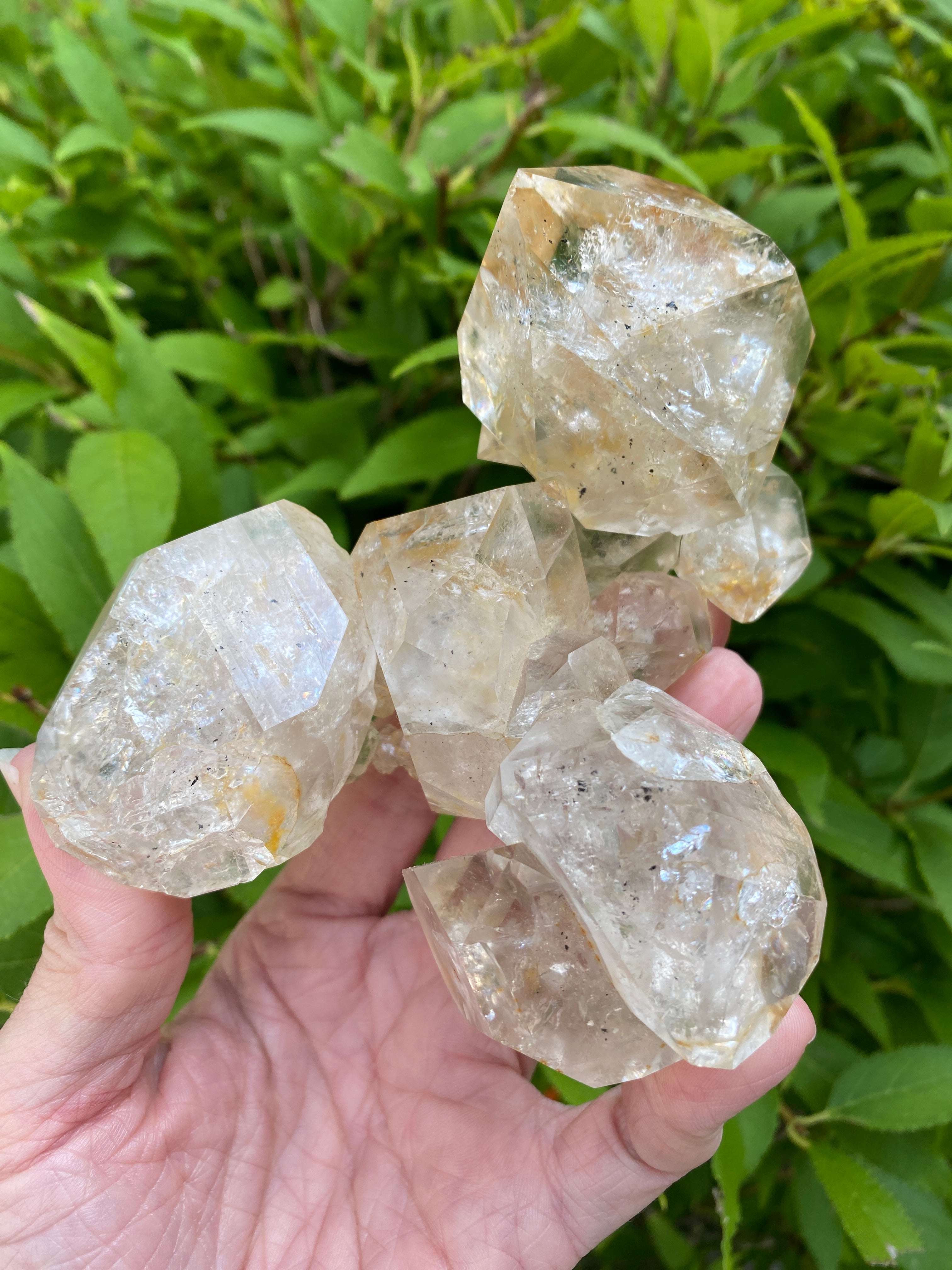 High Quality Herkimer Diamond Crystal Cluster, 18+ Crystals, Miner Direct
