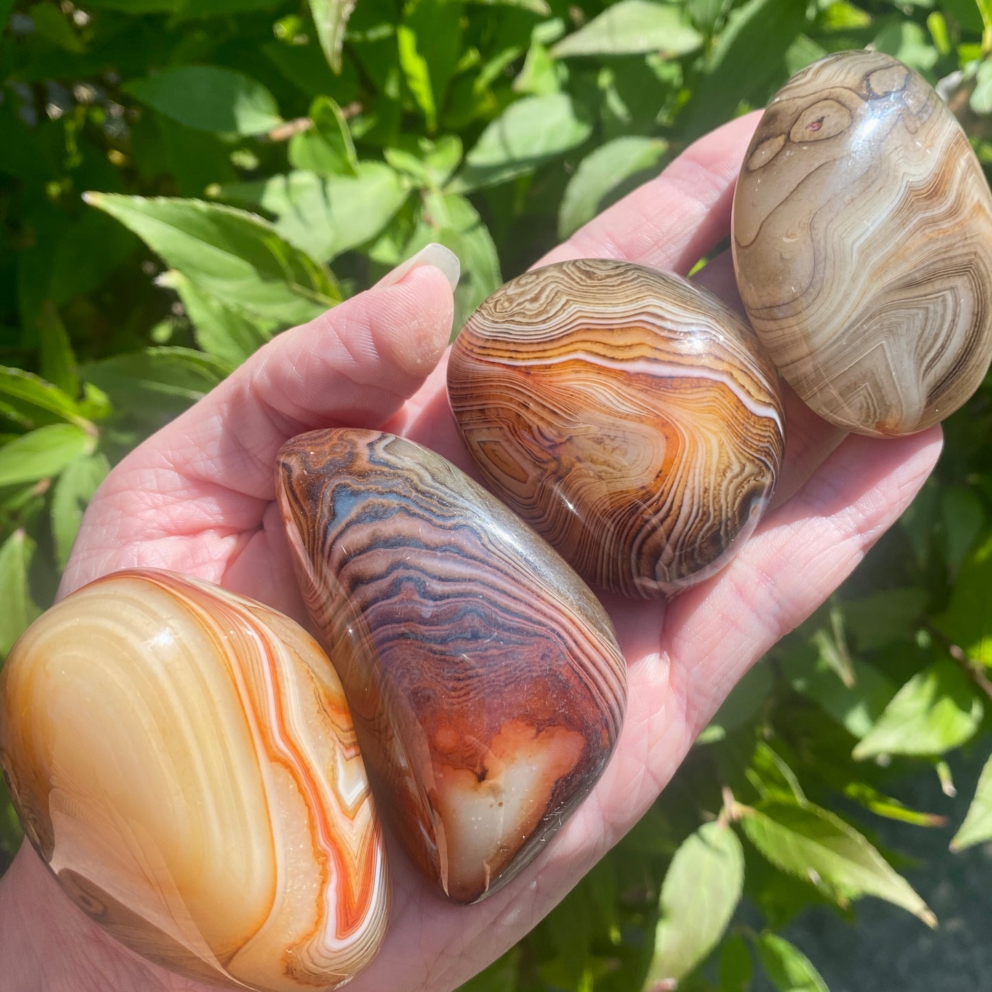 Carnelian Sardonyx Stone