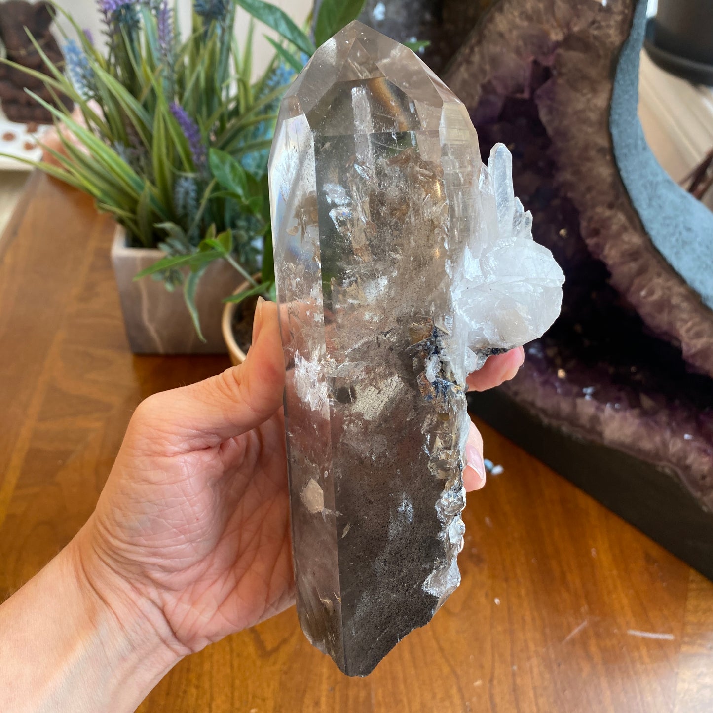 Unique Garden Quartz Point, Graphite and Chlorite