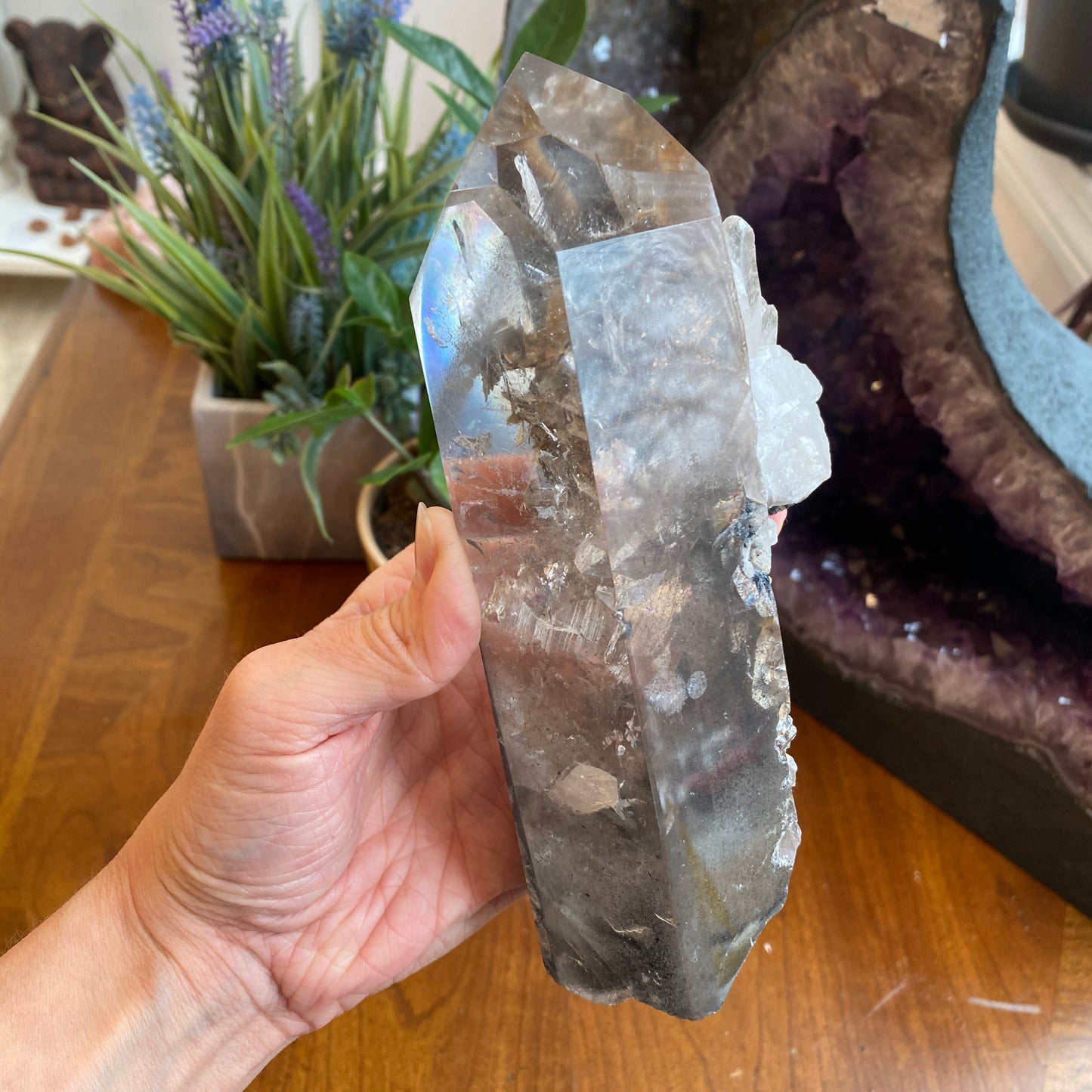 Unique Garden Quartz Point, Graphite and Chlorite