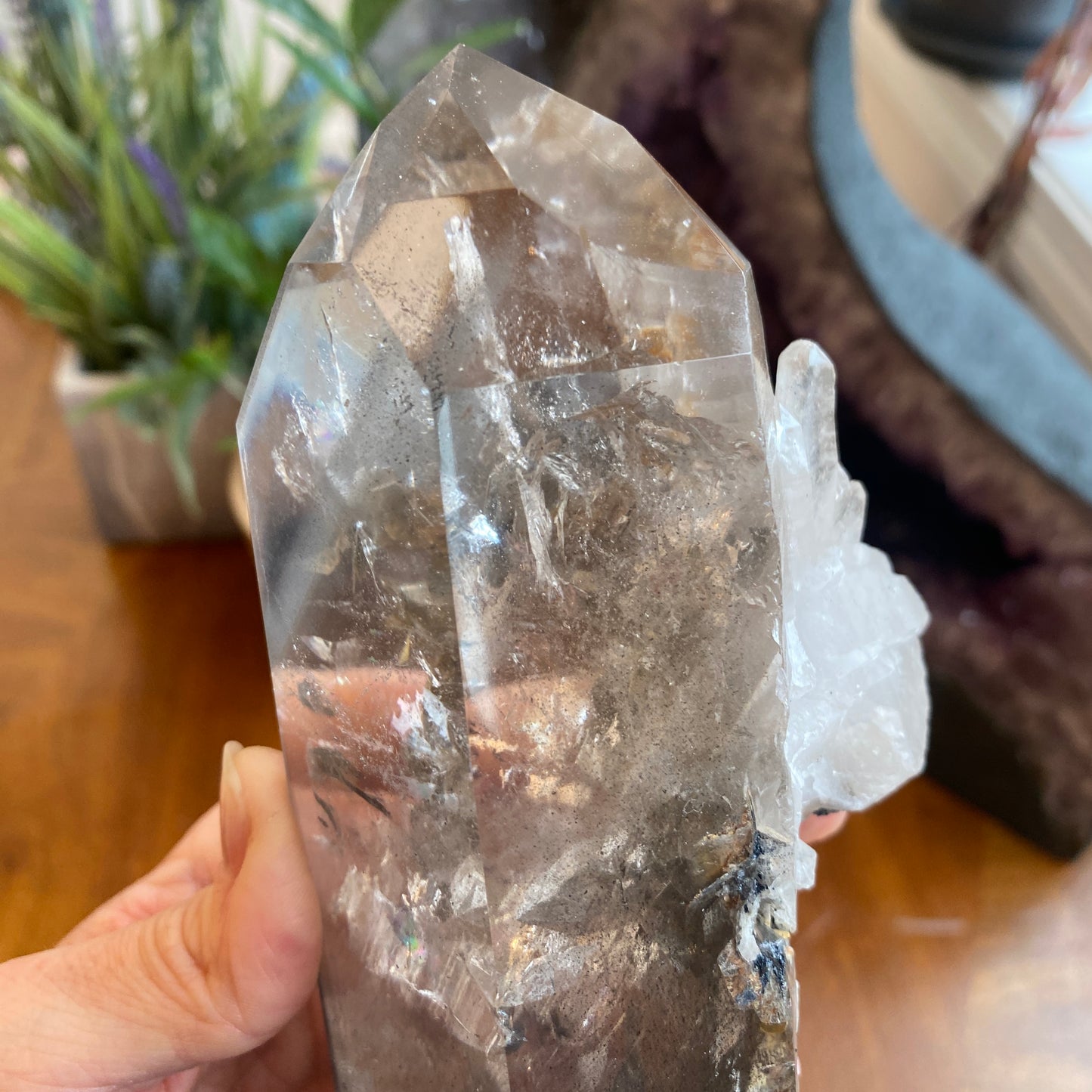 Unique Garden Quartz Point, Graphite and Chlorite