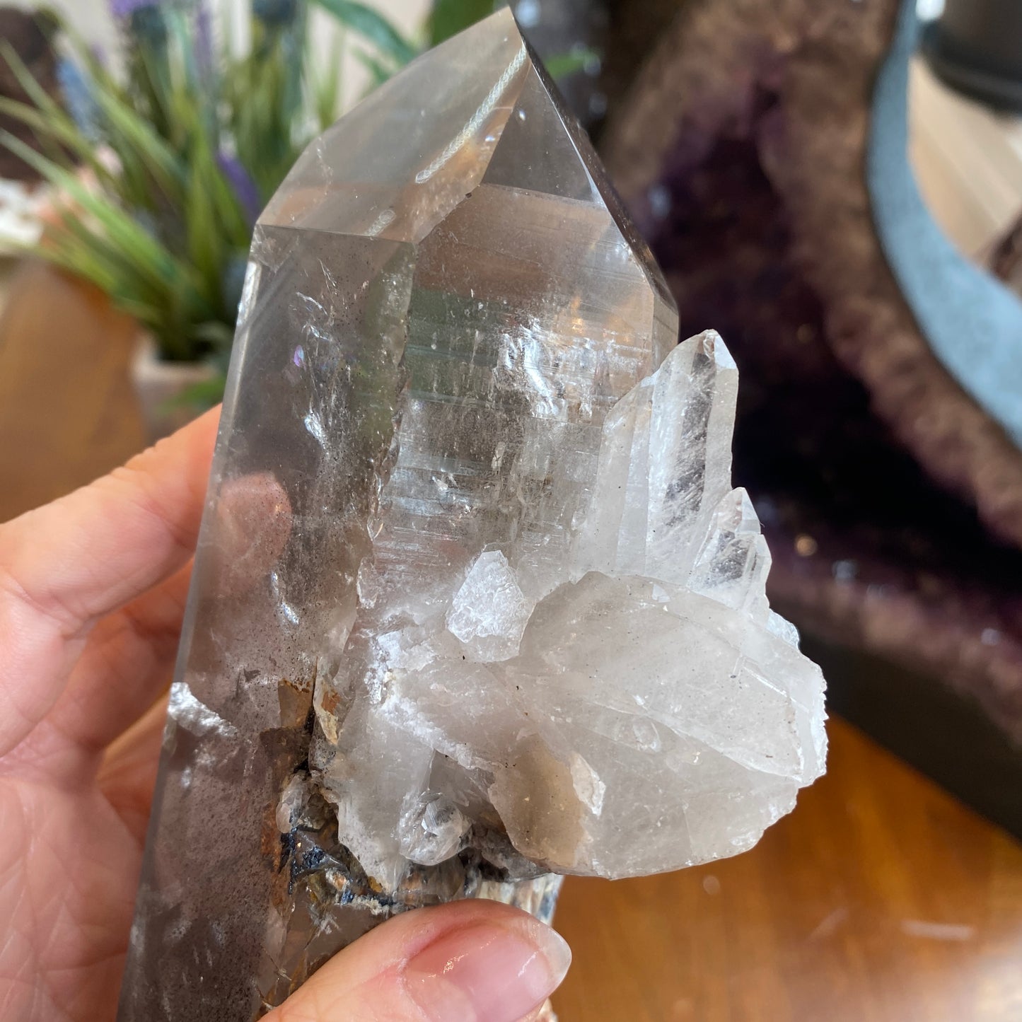 Unique Garden Quartz Point, Graphite and Chlorite