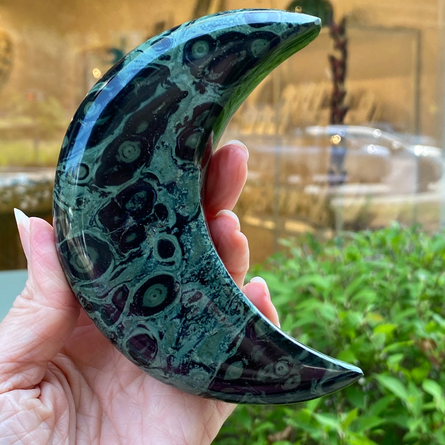 Kambaba Jasper Moon