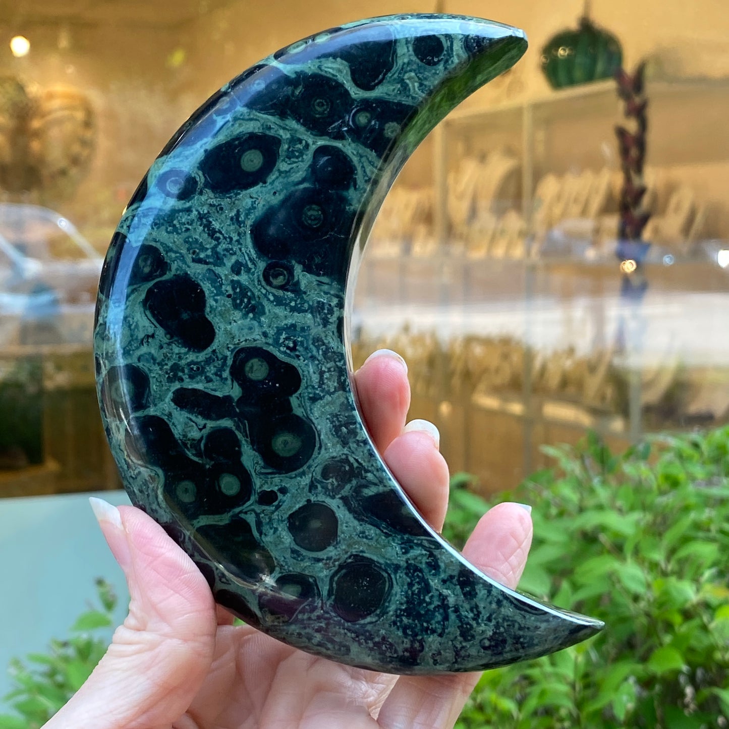 Kambaba Jasper Moon