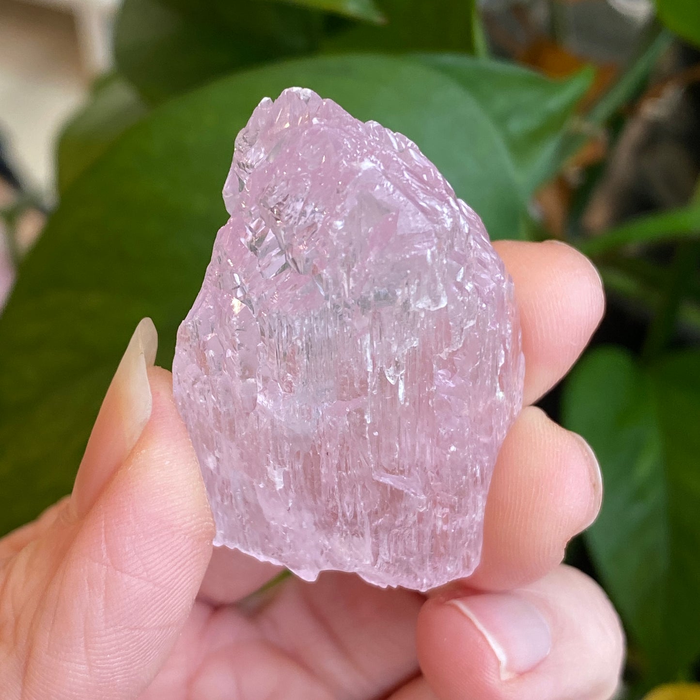 Kunzite Crystal, Water Etched, Multi-Terminated, Self Healed Specimen