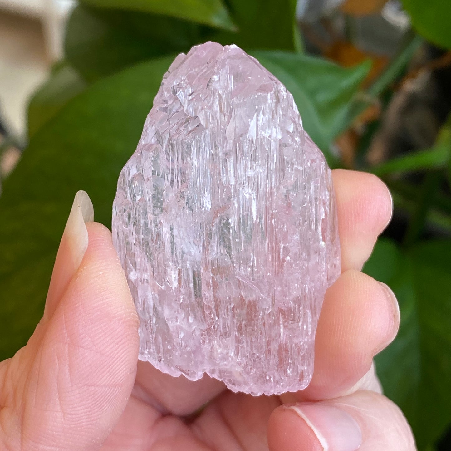 Kunzite Crystal, Water Etched, Multi-Terminated, Self Healed Specimen