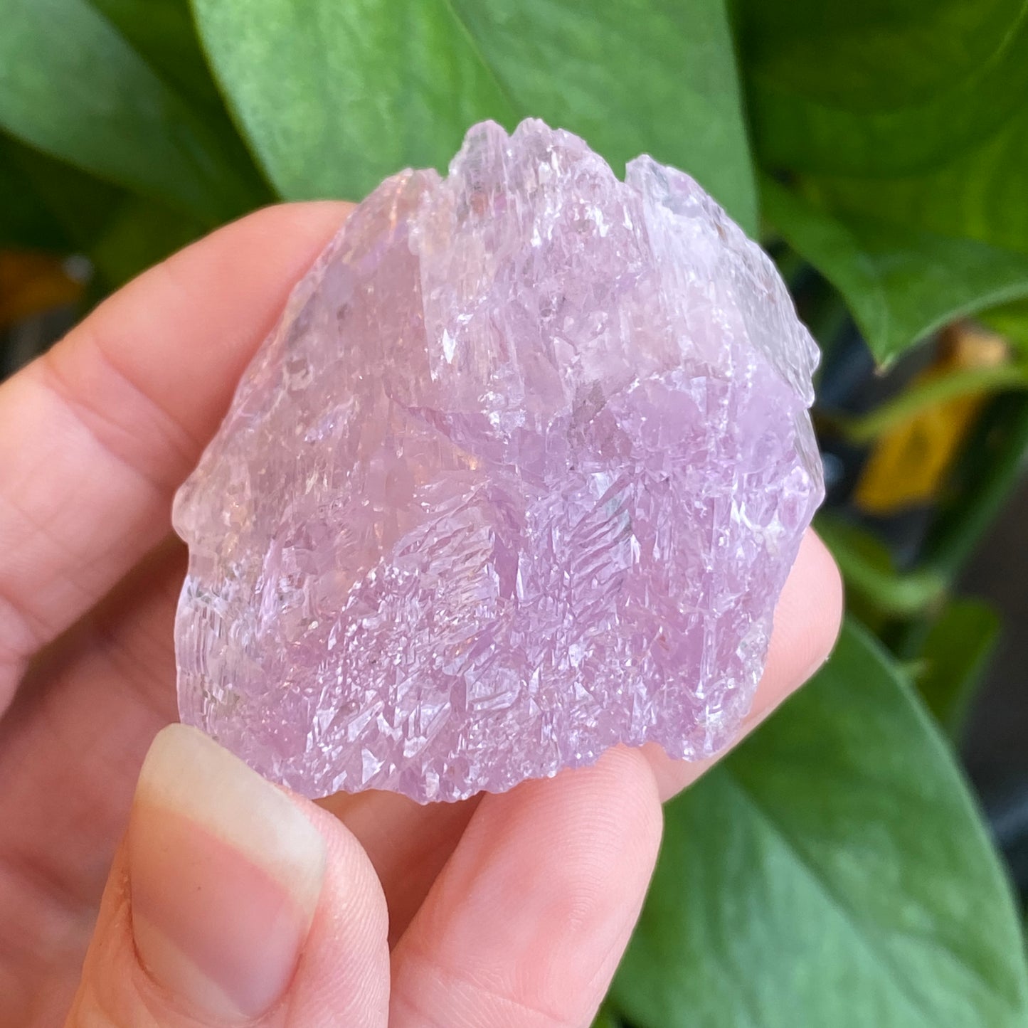Kunzite Crystal, Water Etched, Multi-Terminated, Self Healed Specimen