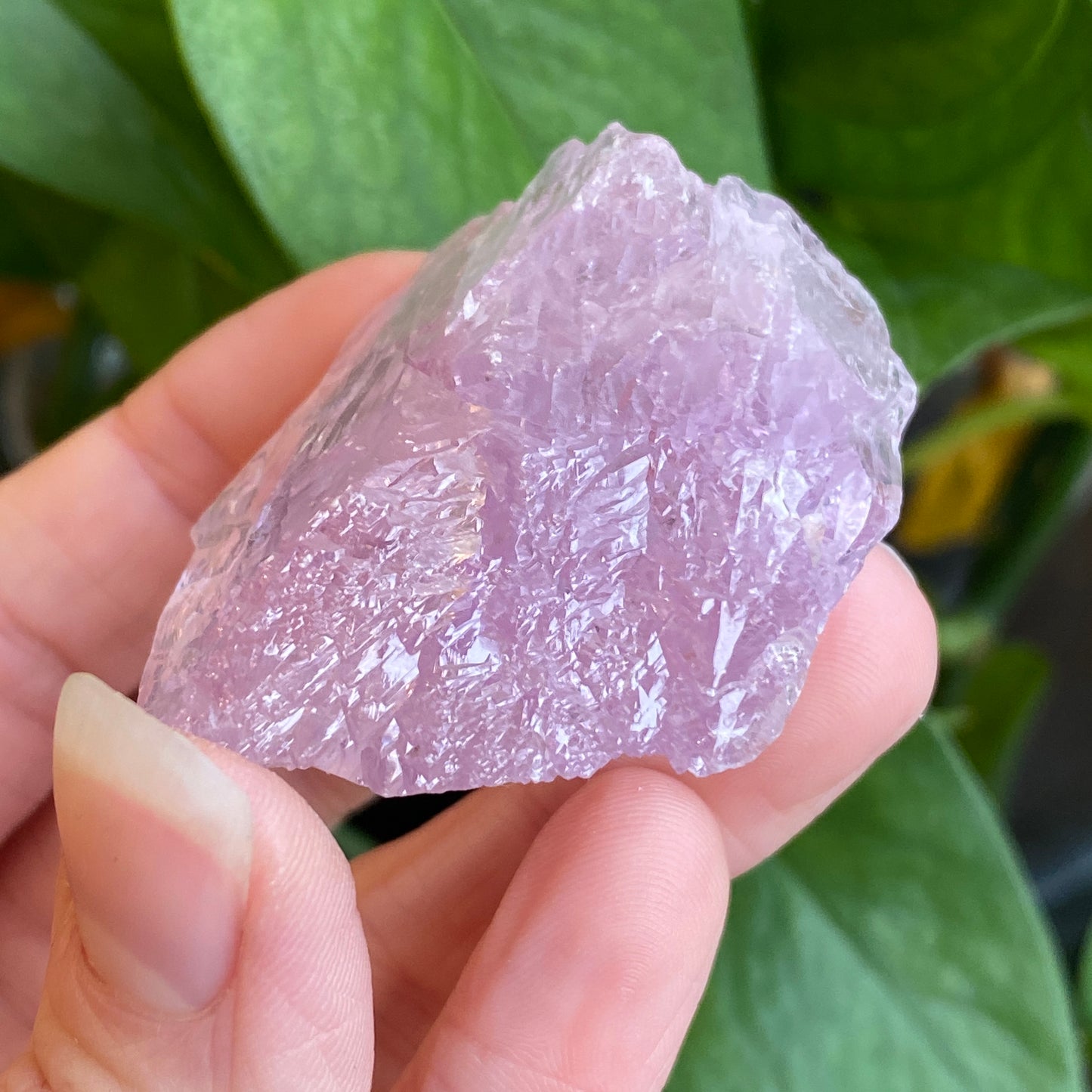 Kunzite Crystal, Water Etched, Multi-Terminated, Self Healed Specimen