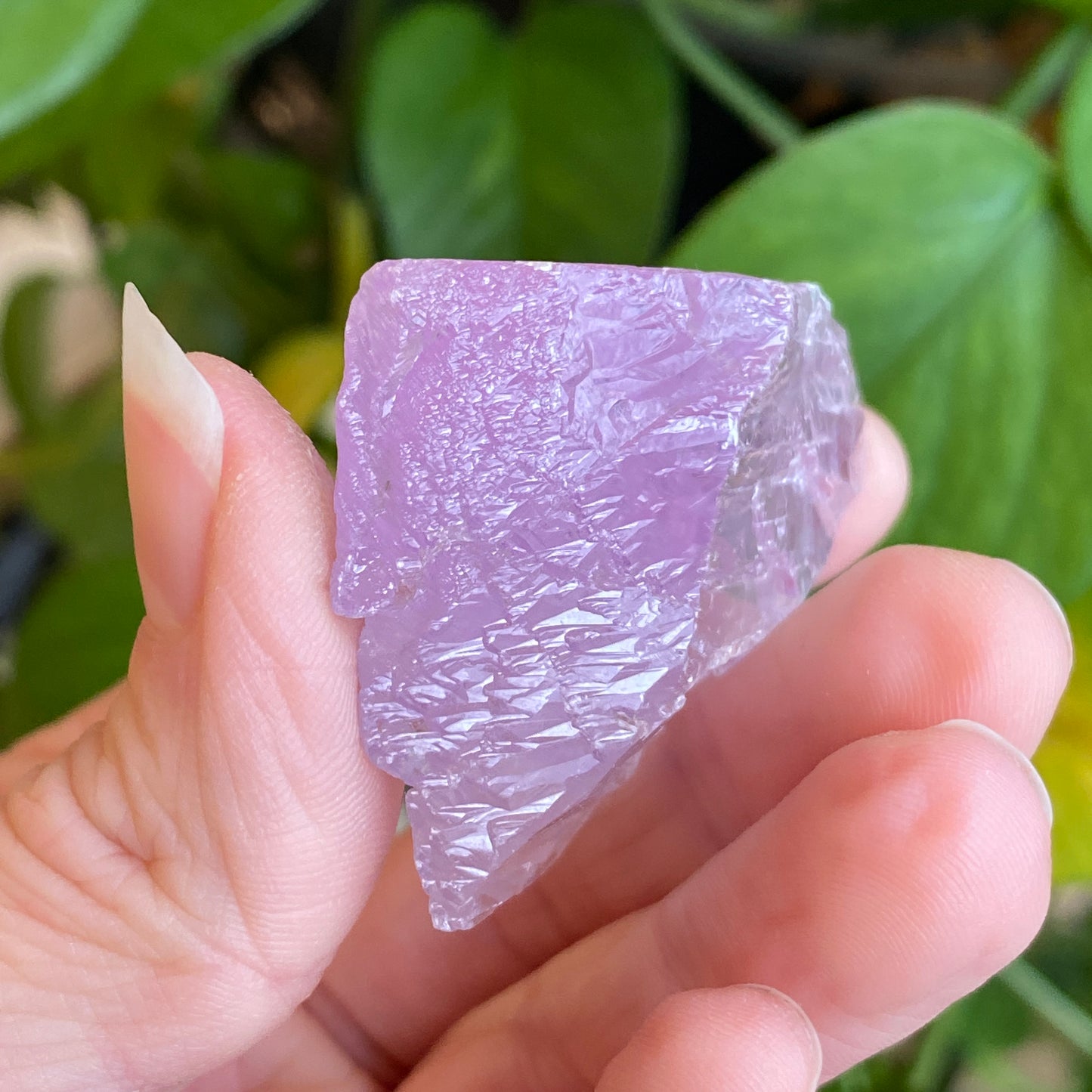 Kunzite Crystal, Water Etched, Multi-Terminated, Self Healed Specimen