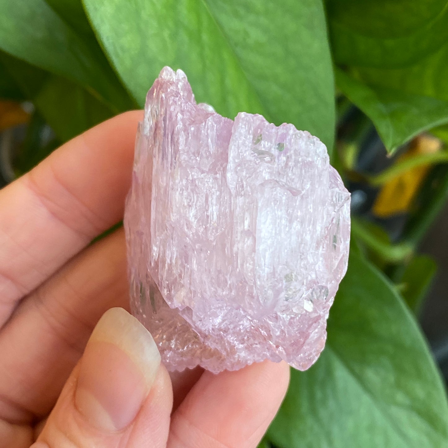 Kunzite Crystal, Water Etched, Multi-Terminated, Self Healed Specimen