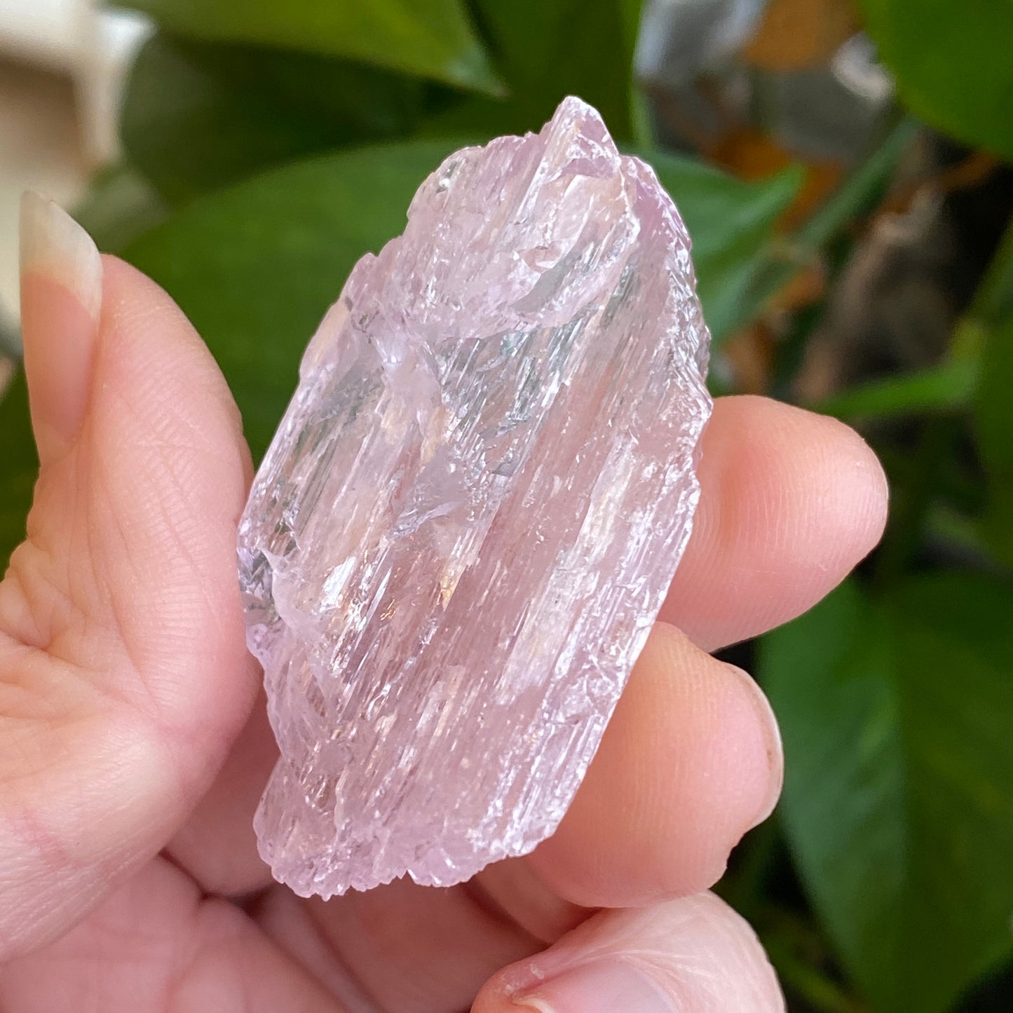Kunzite Crystal, Water Etched, Multi-Terminated, Self Healed Specimen
