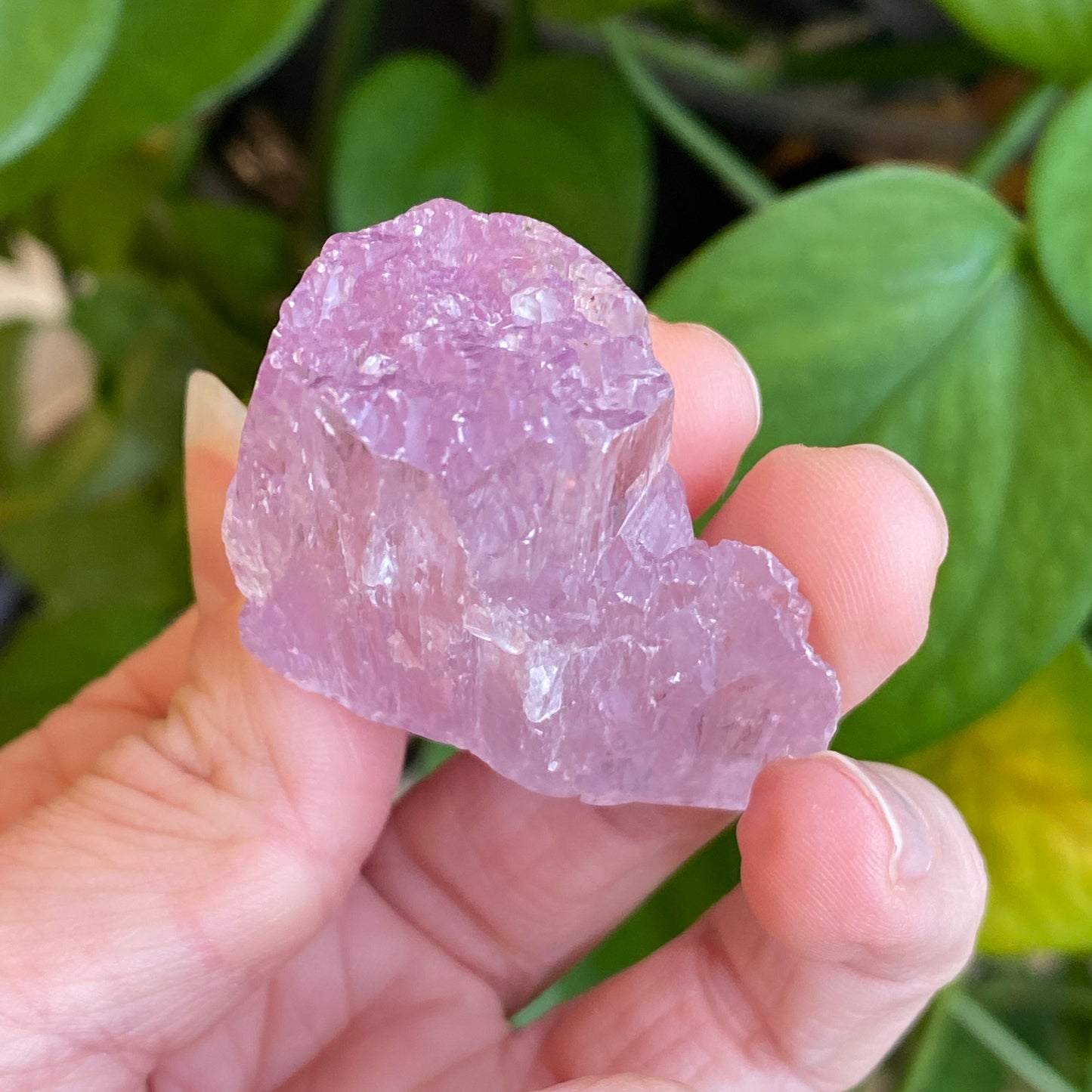 Kunzite Crystal, Water Etched, Multi-Terminated, Self Healed Specimen